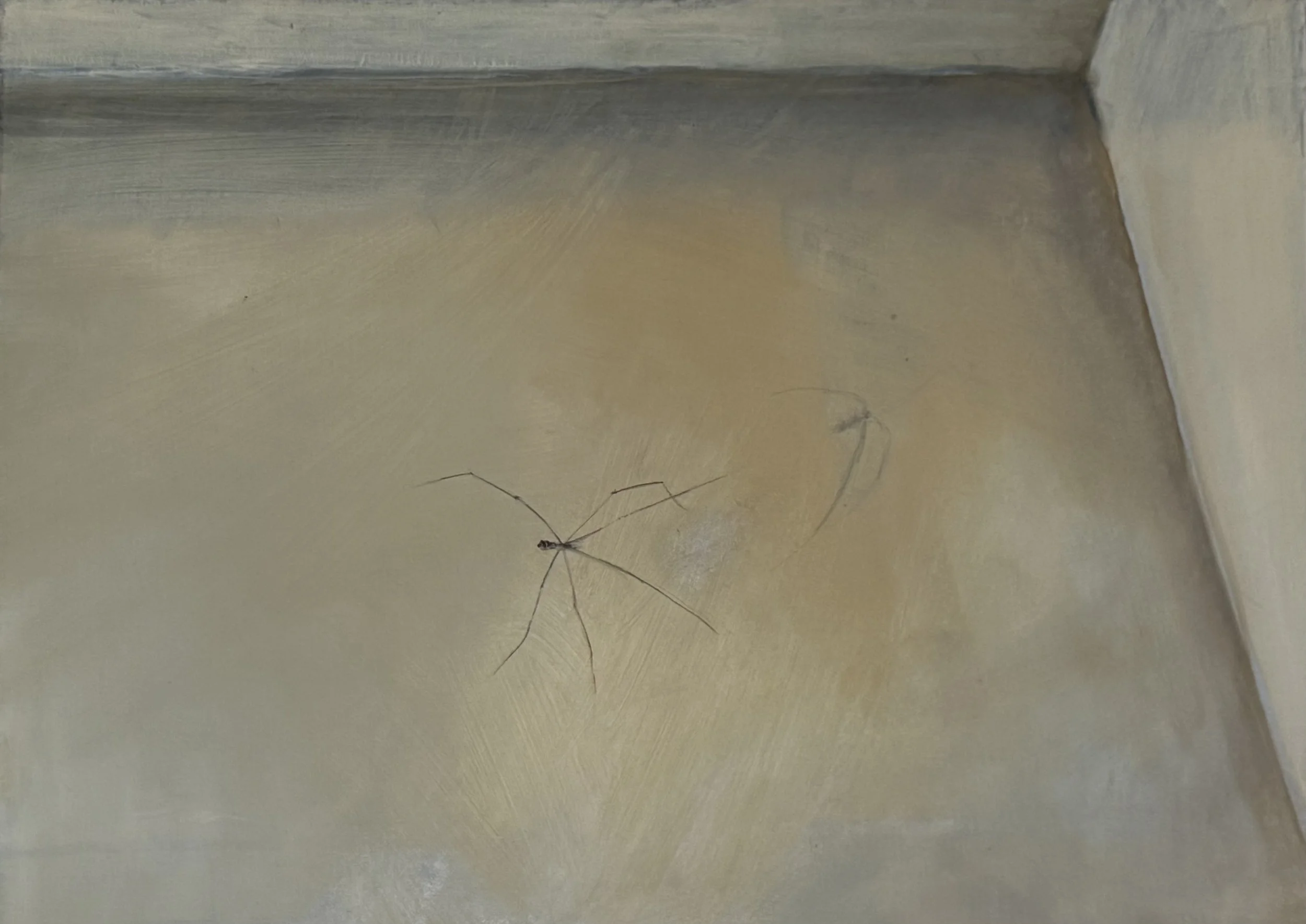 Bachelard spider 44x60cm, framed, oil on canvas 2021.jpg