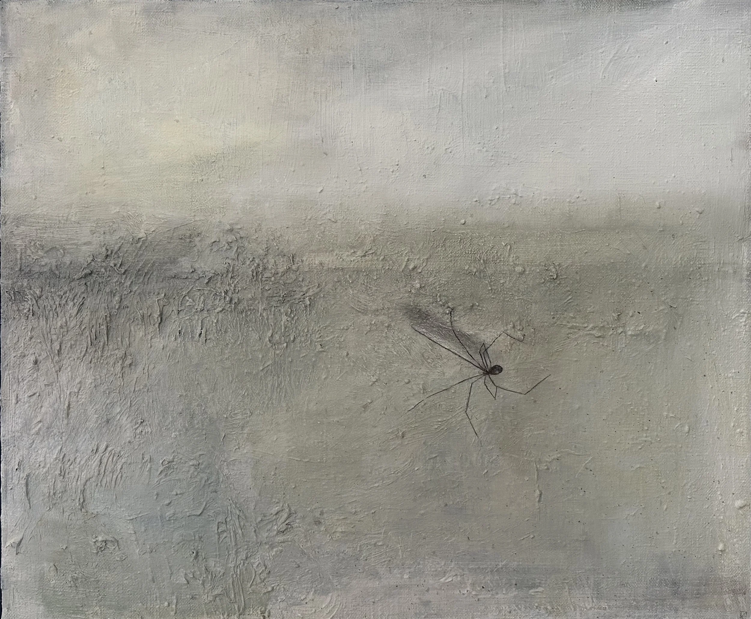 grandmother spider,oil on canvas, 54x65cm, framed 2021.jpg