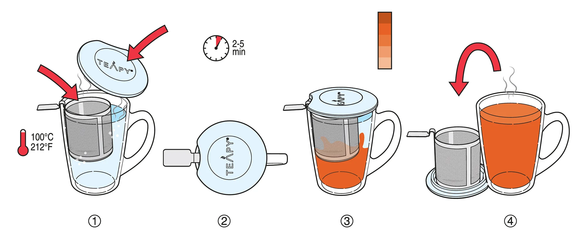 Teapy Diagram with Infuser-02.jpg