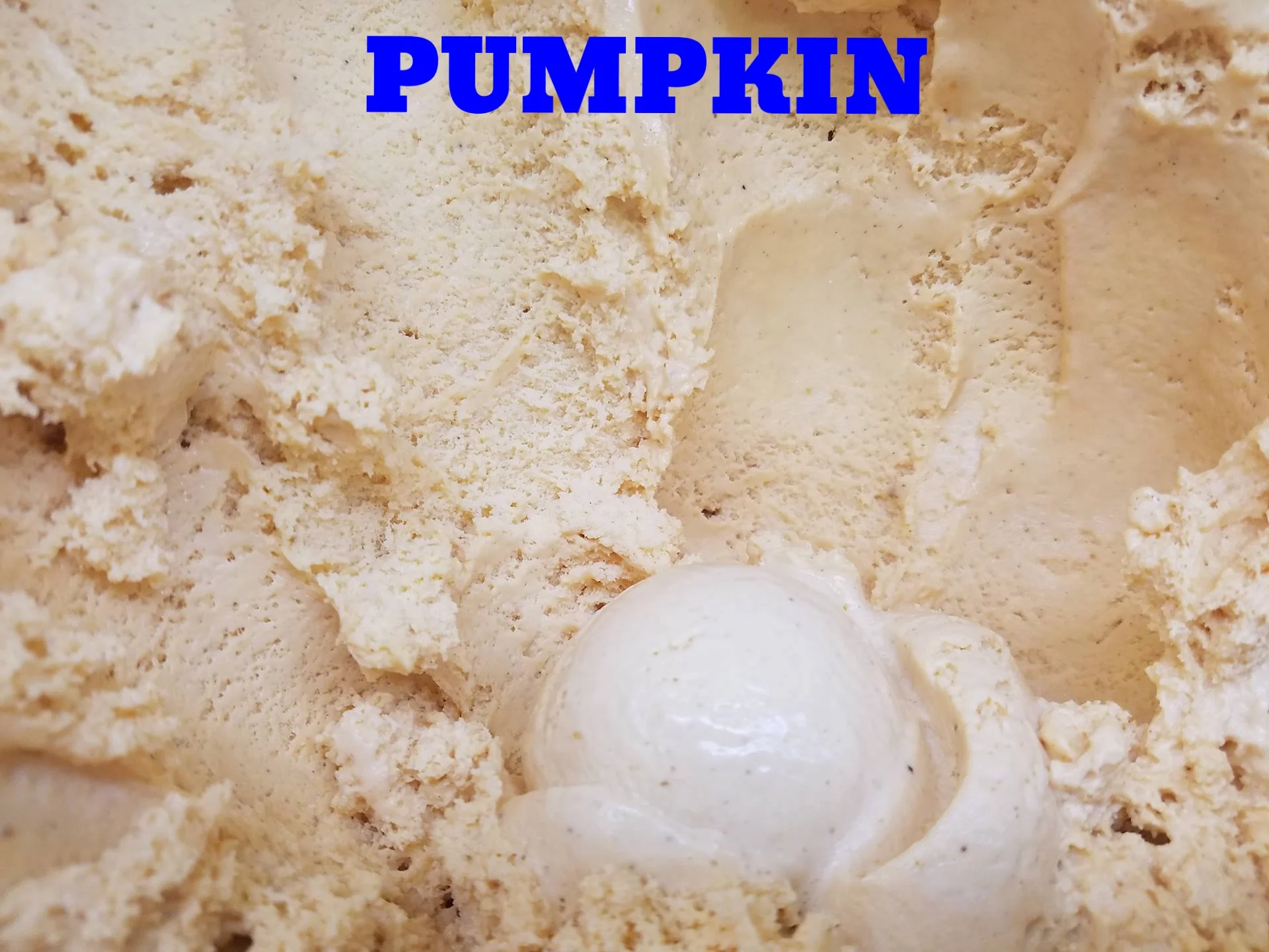 Premium pumpkin flavored ice cream with a rich blend of tasty spices. (Seasonal Flavor)