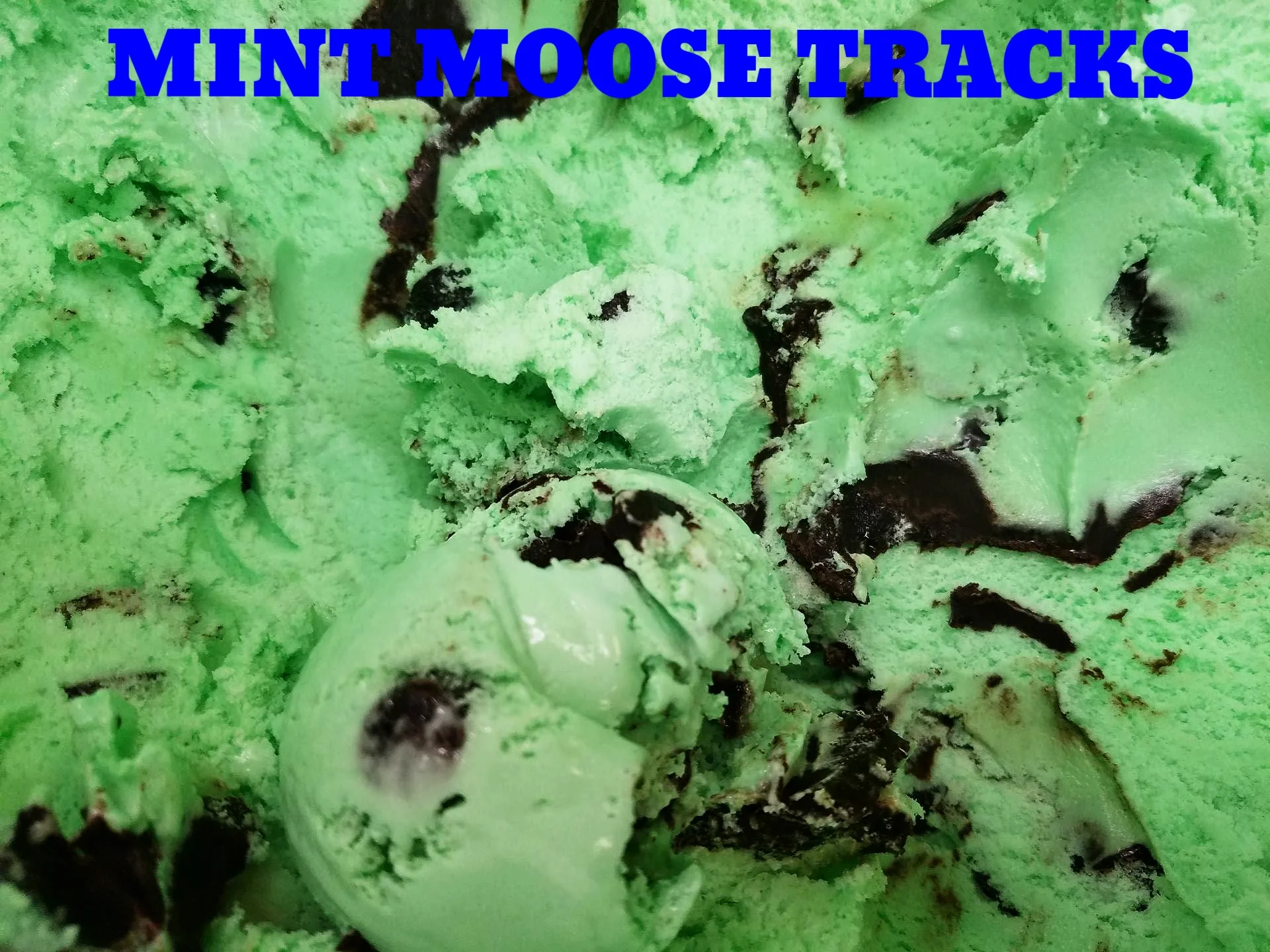 Premium cool mint ice cream loaded with mint filled chocolate cups and tasty Moose Tracks ® fudge.