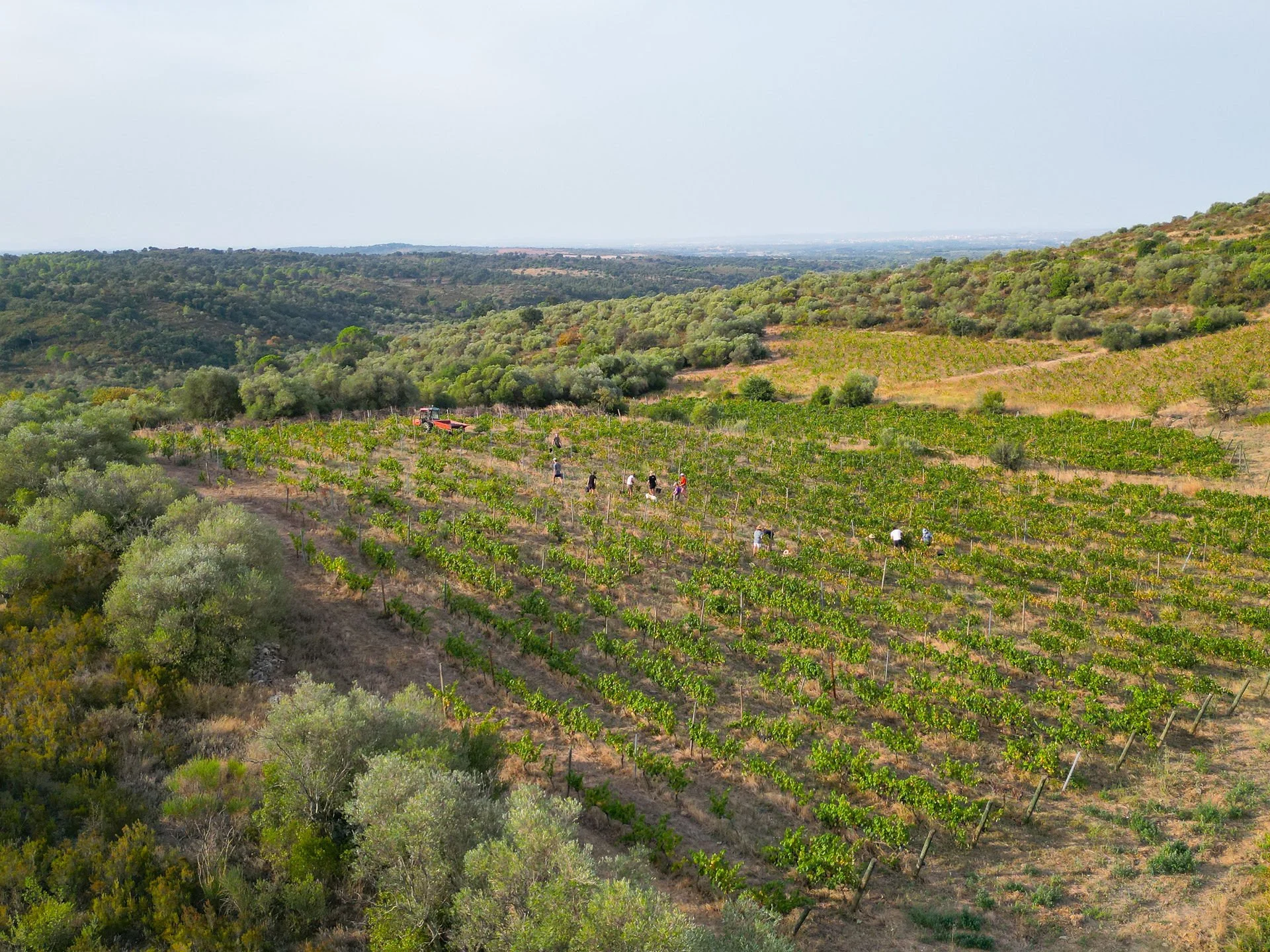 Drone-2.jpg