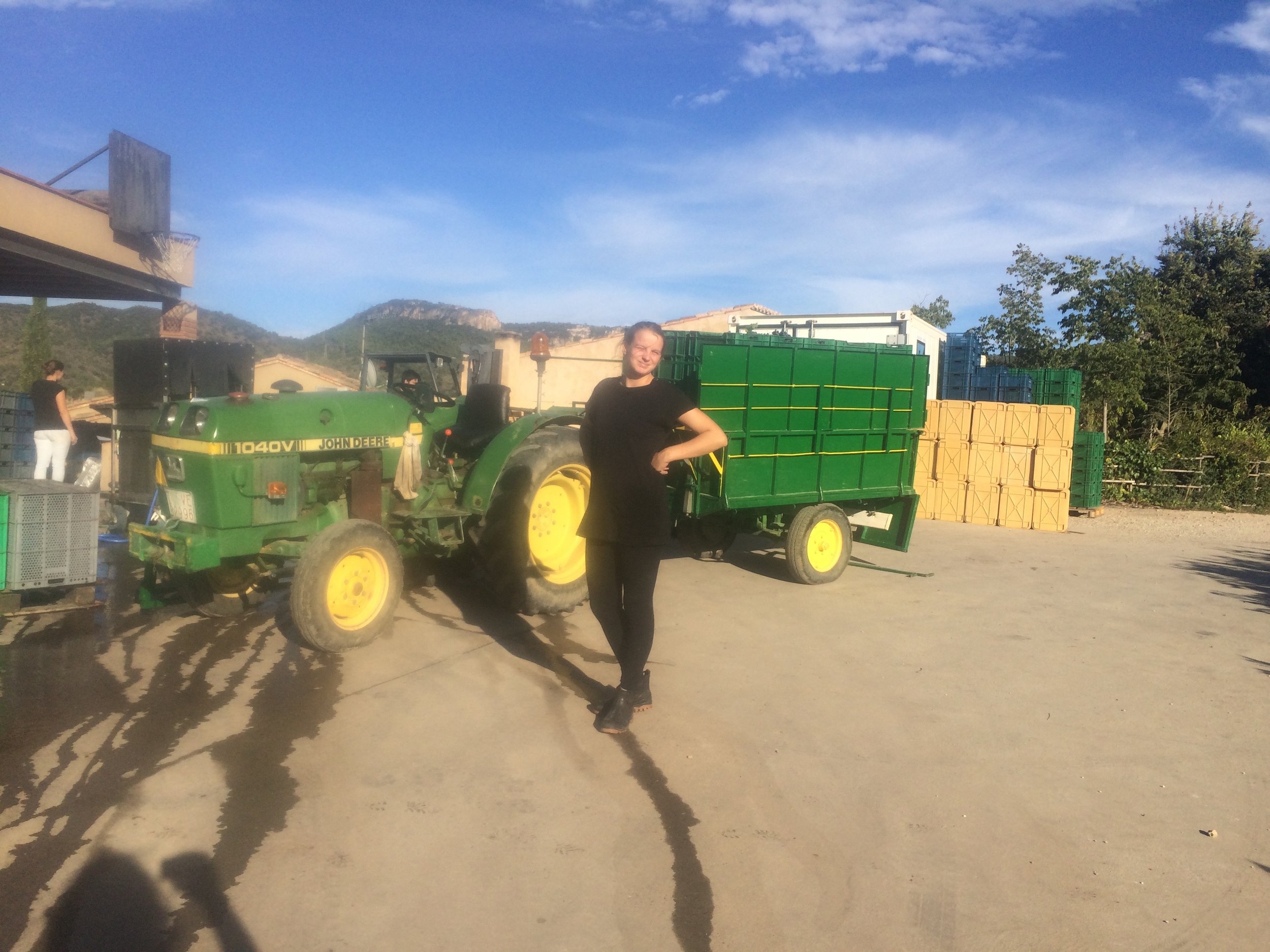 druiven komen binnen met de john deere