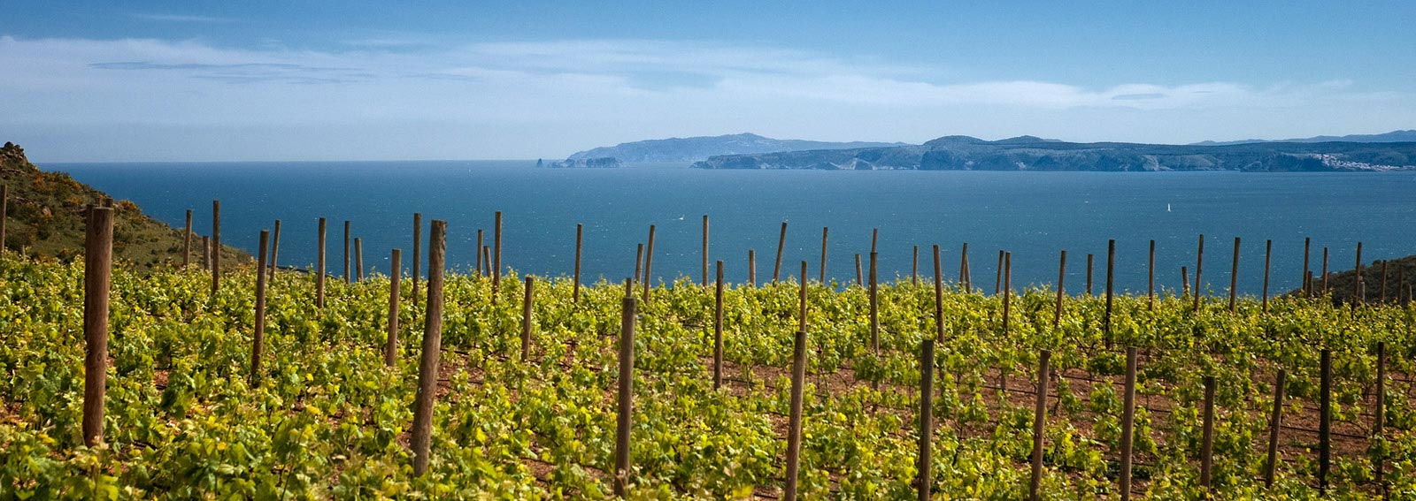 Uitzicht vanaf de wijngaard in Cap de Creus op de Middellandse Zee