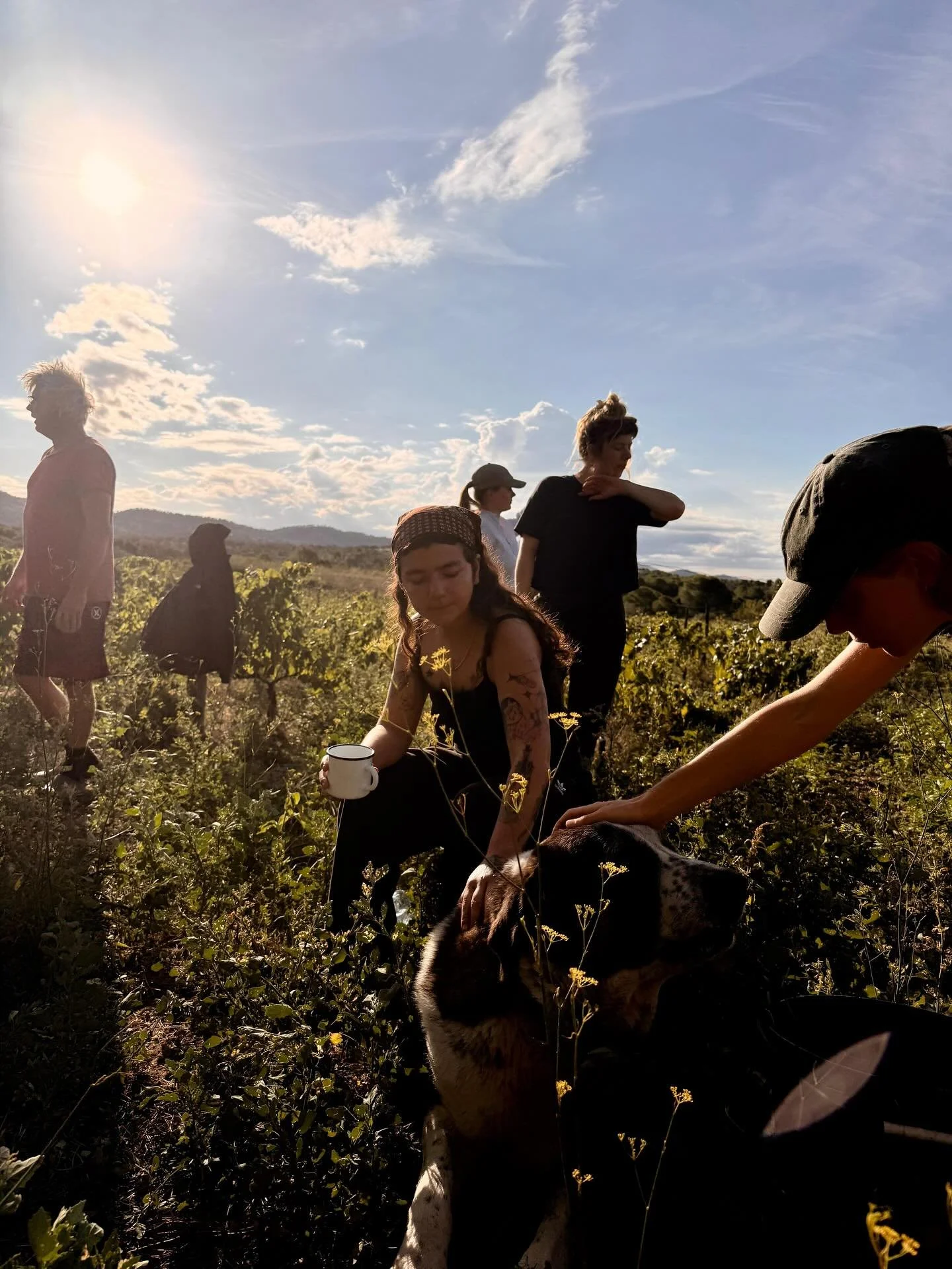 We&rsquo;ll never forget harvest 2025! 🔥🐢💚
A vintage buzzing with wasps, overflowing lunches/dinners, and plenty of make-believe. The grapes were generous, the bunches healthy, and the kilos just right.

But what really made it magic was the team 