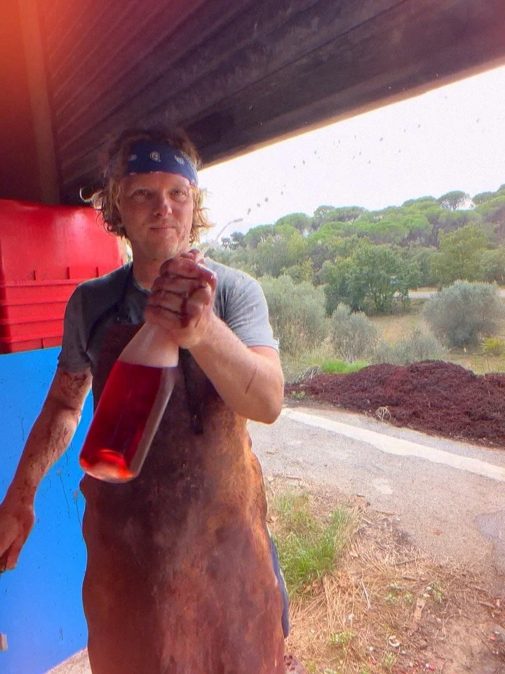 Fizzy morning activity 🫧🫧 
#petnat
#vinyestortuga
#naturalwine
#wildfermentation
#lowinterventionwine
#ancestralmethod
#vinvivant
#vinoartesanal
#biodynamicwine
#handharvested
#authenticwinemaking
#Empordawine
#Catalanwine