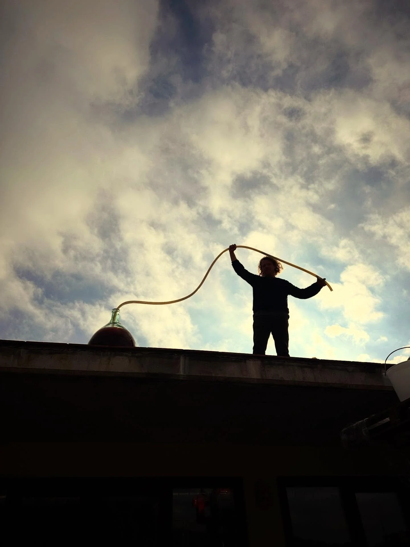 Four years in the sun. Four years on top of @analogic.restaurant. 
First draw of Tortuga rancio.

Refilled halfway with this year&rsquo;s fresh wine, the beginning of a long-term solera system.

Fresh yet deeply sun-cooked.
Tertiary aromas, structure