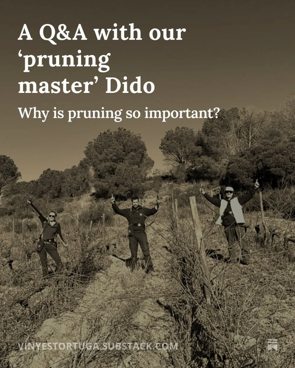 Not everything fits in a post 📖 🍇

We&rsquo;ve started writing on Substack.
A place for the deeper story of Tortuga, from idea to bottle. 

We start with pruning: a Q&amp;A with our pruning master Dido on why this work determines the whole year.

F
