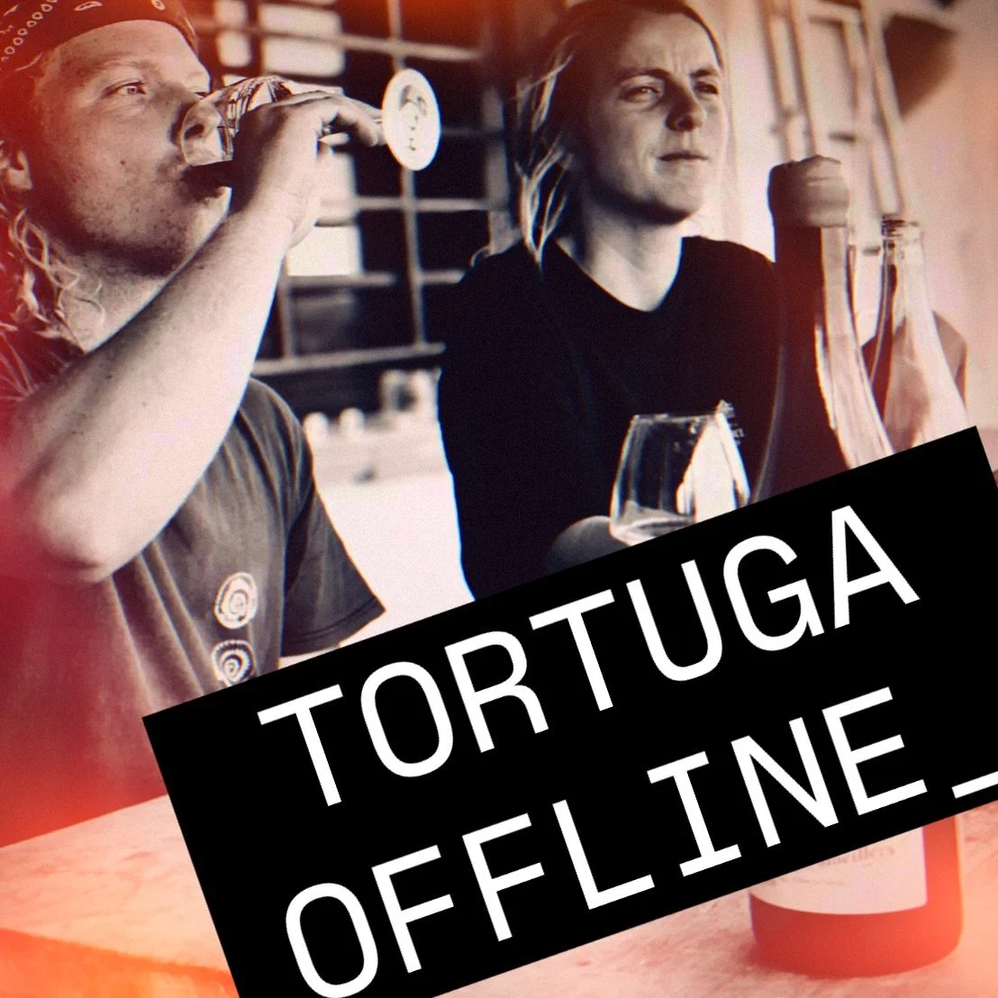 TORTUGA OFFLINE

No signal. Better connection.

This spring &amp; summer, we open our doors. Taste the new vintage from barrel, walk the vines and drink together.

Trade your screen for a glass.

Available dates on vinyestortuga.com.
Or send a dm.