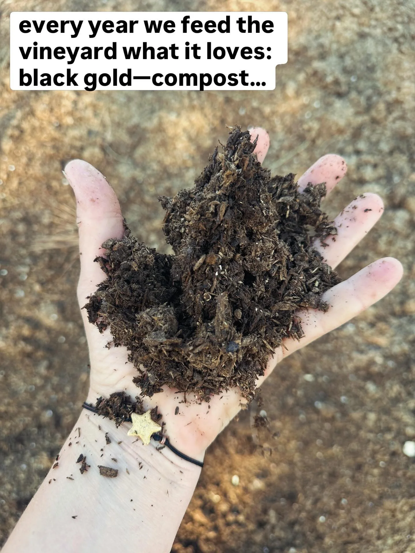 &ldquo;A wise man once said: &lsquo;Put as much compost on the vines as you can afford.&rsquo; 

We believe that a happy vineyard produces grapes that ferment easily without help, without additions.
A healthy vineyard is, at the very least, organic&m