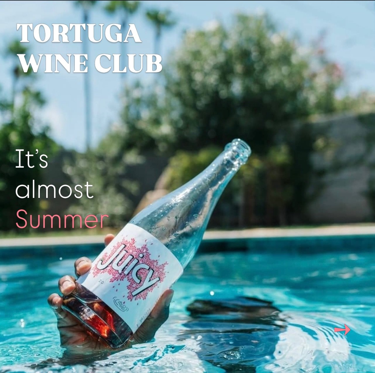 TORTUGA WINE CLUB 🍷🍾

Two deliveries per year.
Summer &amp; Winter

Each box contains a curated selection of Vinyes Tortuga wines, including seasonal releases, limited cuv&eacute;es and wines only available through the club.

Available in cartons o