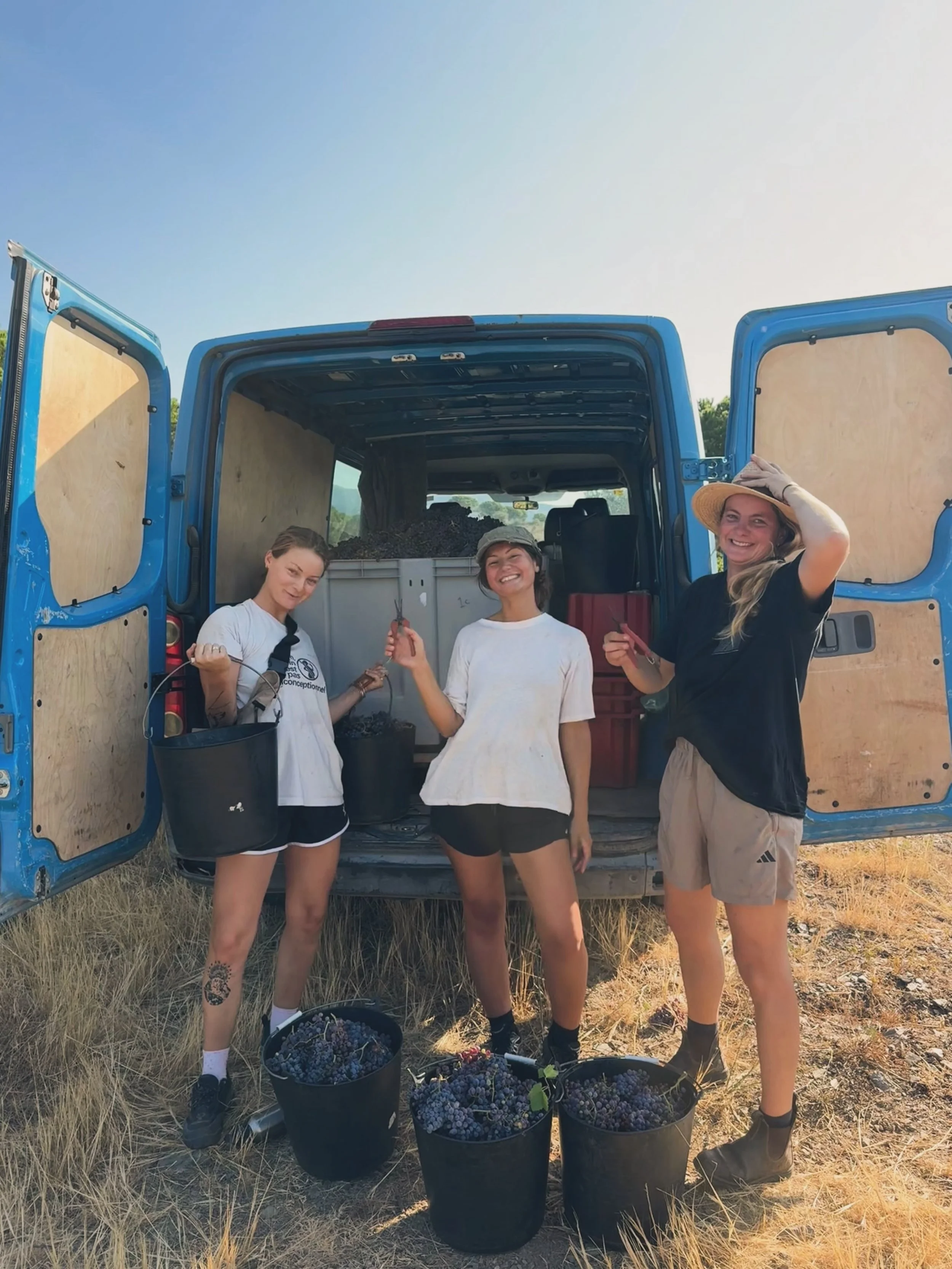 Harvest has officially started! 🍇

Our earliest harvest ever. The grapes are beautifully healthy, the team is ready, and the energy is high. Months of work in the vineyard have led to this moment.

Let the magic begin.