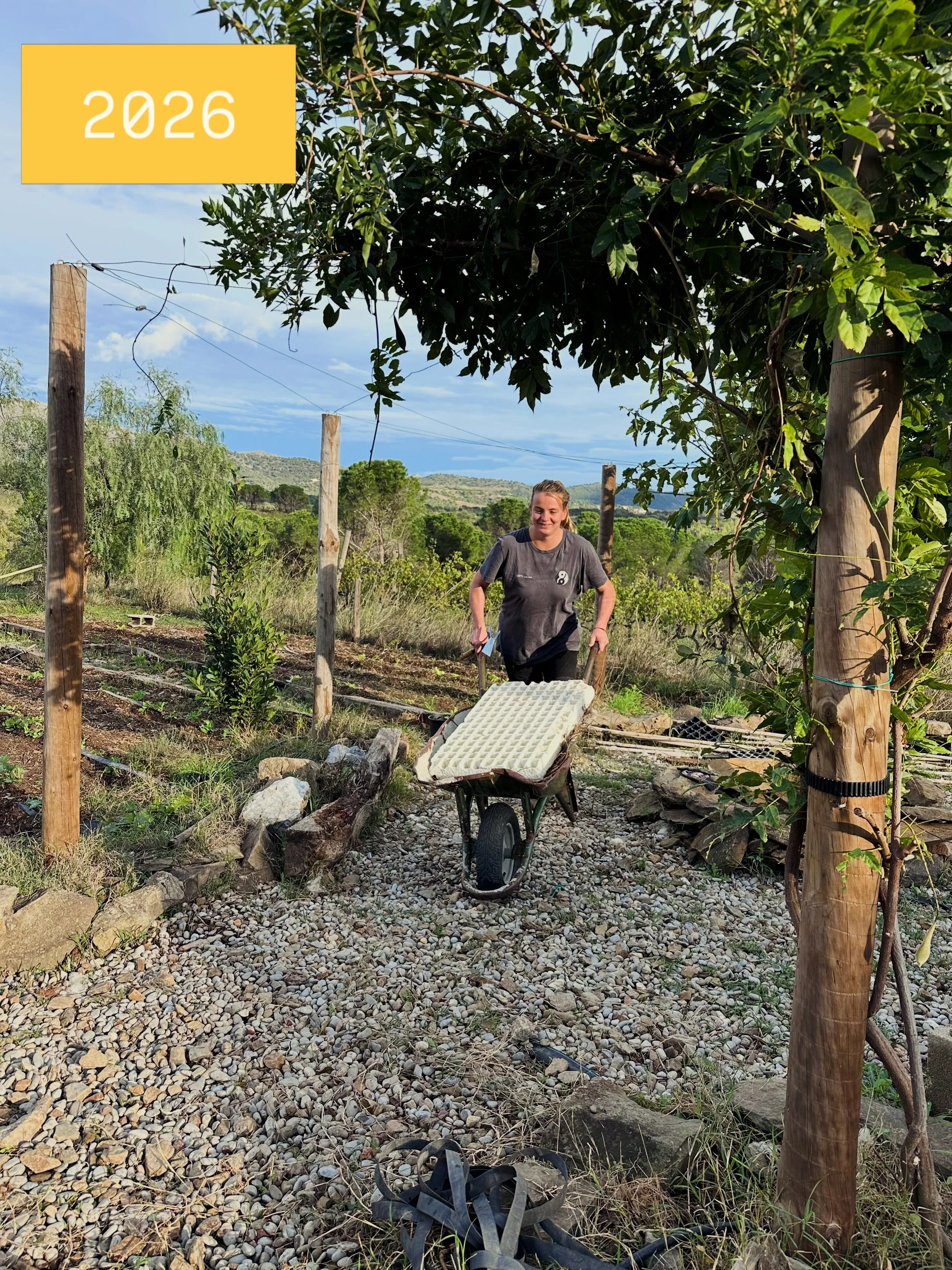 Our garden brings us so much joy. It started as bare soil on a dry schist hill, and over the years we&rsquo;ve poured a lot of love into it. We&rsquo;ve planted trees and tried growing all sorts of vegetables, some more successfully than others 🥀🍄&