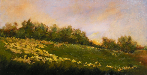 Darby Field Oil on hand stretched linen 18" X36" (available)