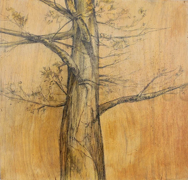 Tree Study