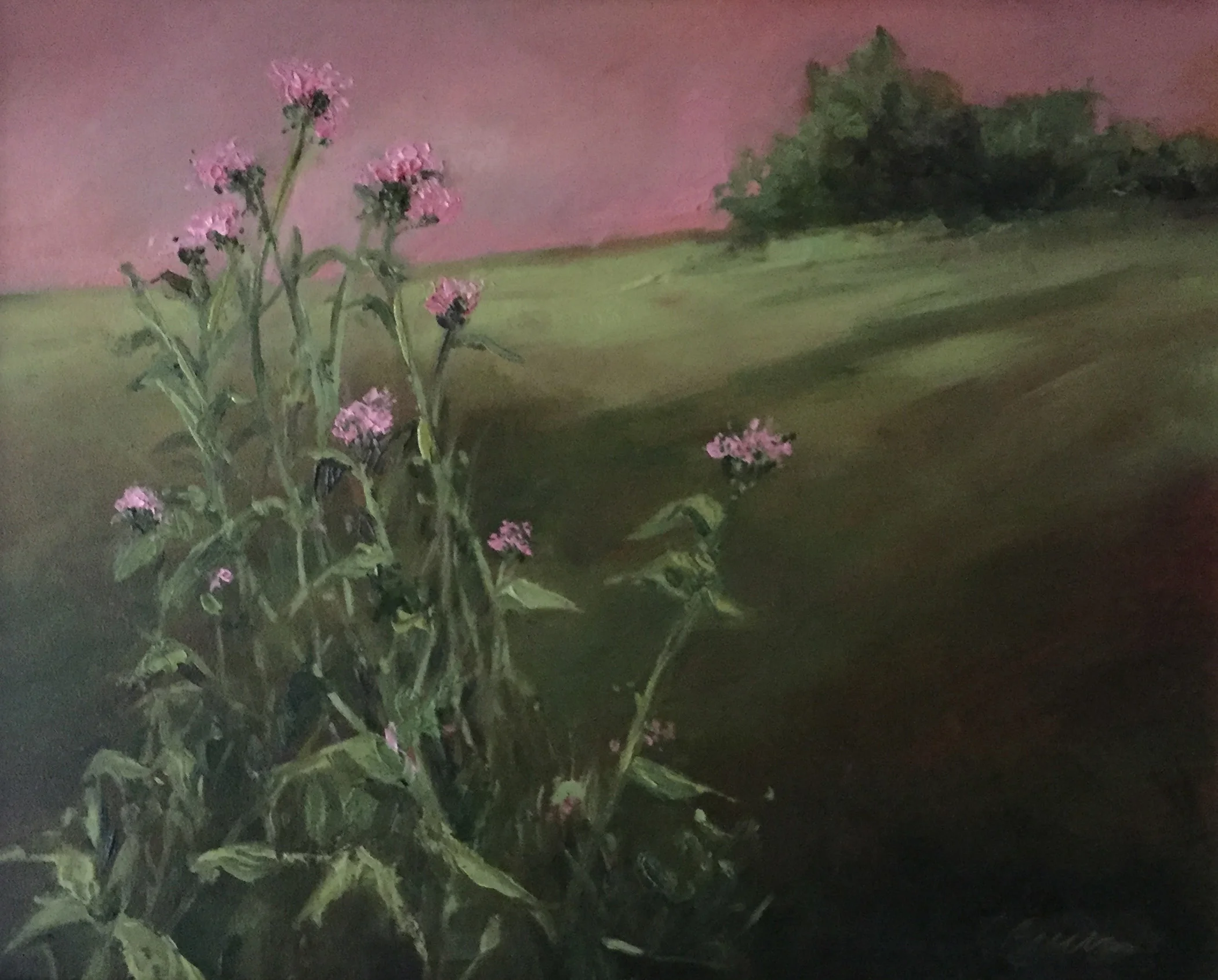 Summer Field  Oil on panel 8 X 10