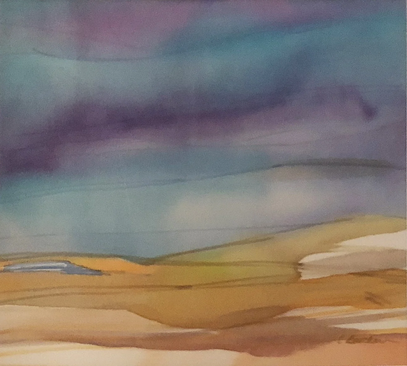 Dune Valley, Cape Cod Ink on silk