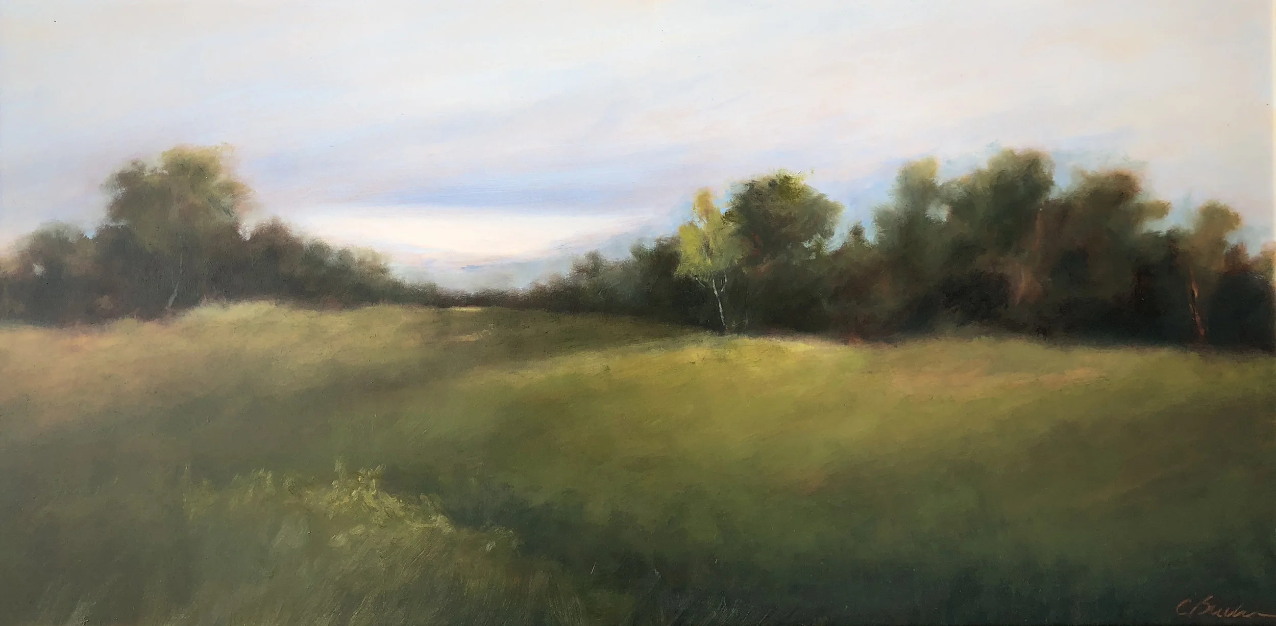 Spring Oil on panel 18 X 36. SOLD