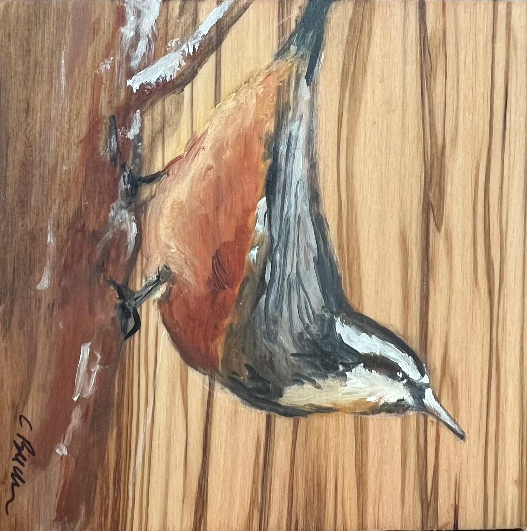 Red Breasted NutHatch