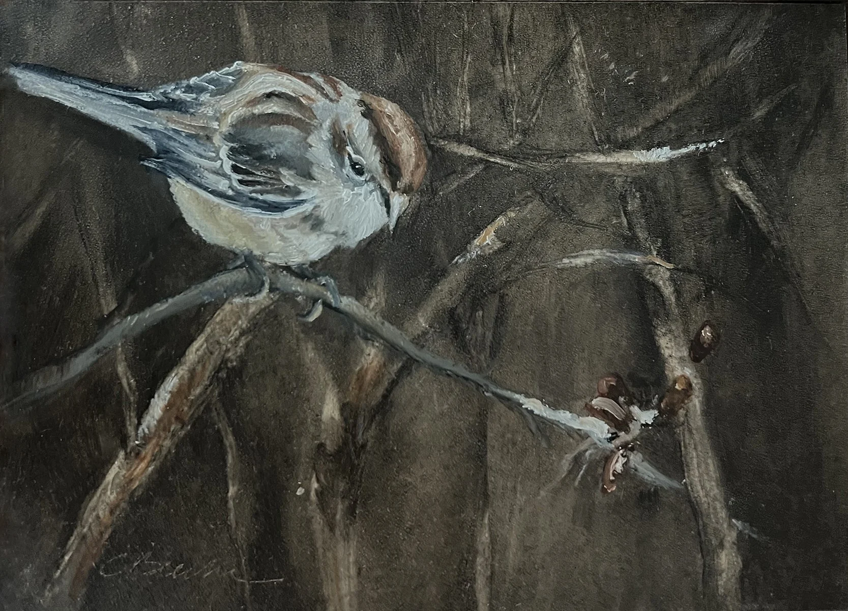 American Tree Sparrow