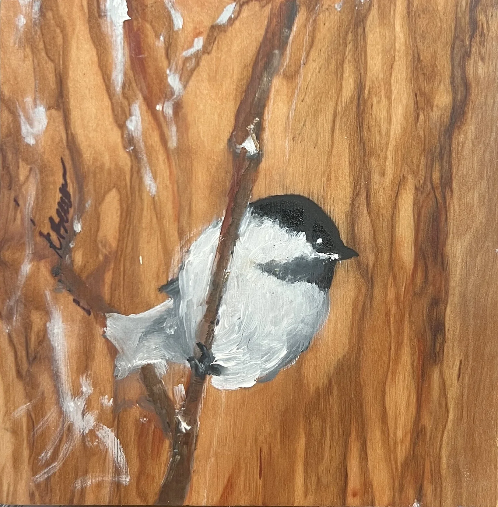Chickadee