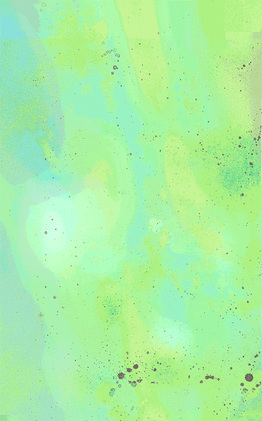 SS_evite-3.gif