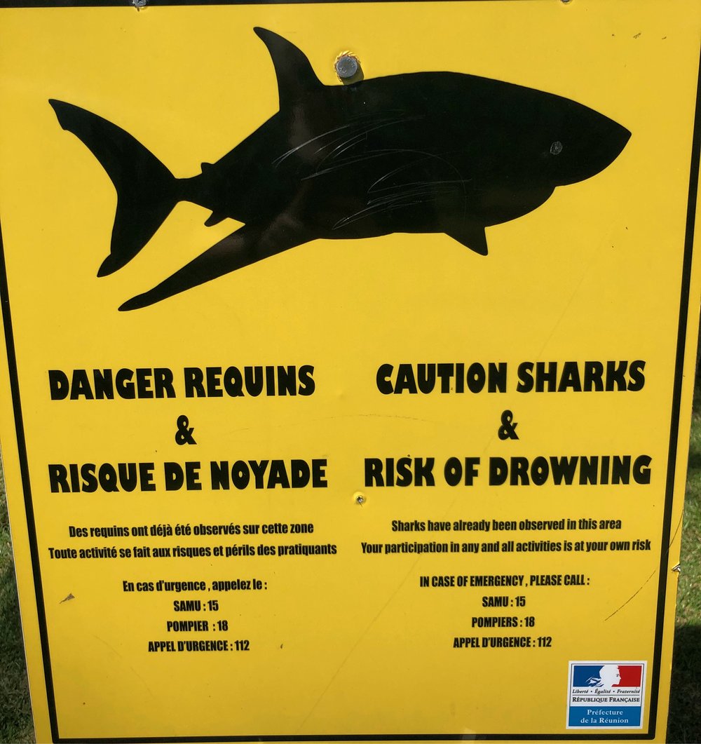 Caution - sharks!