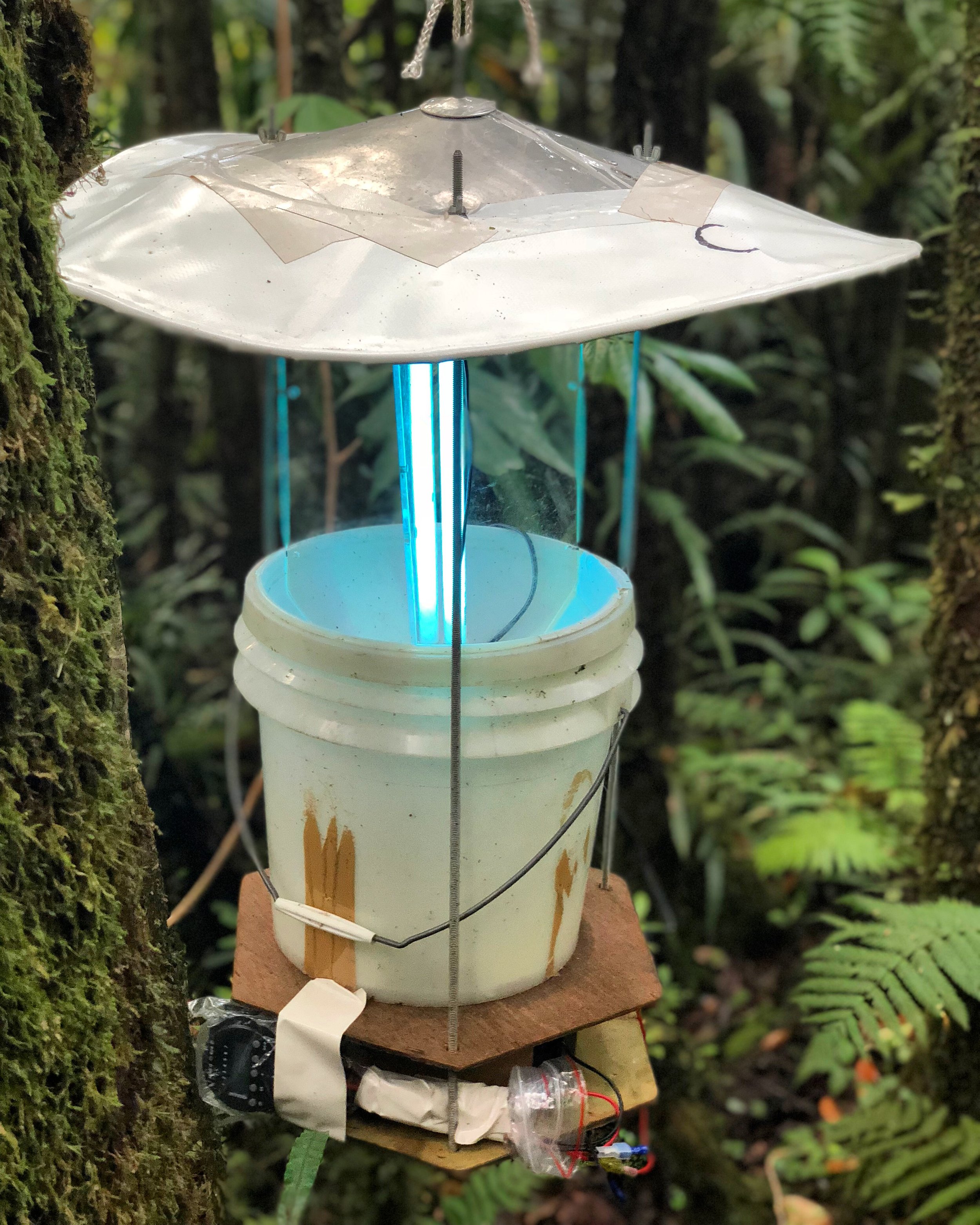 Our Pennsylvania-style light trap