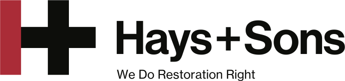 Hays_Logo_Design_File[1].png