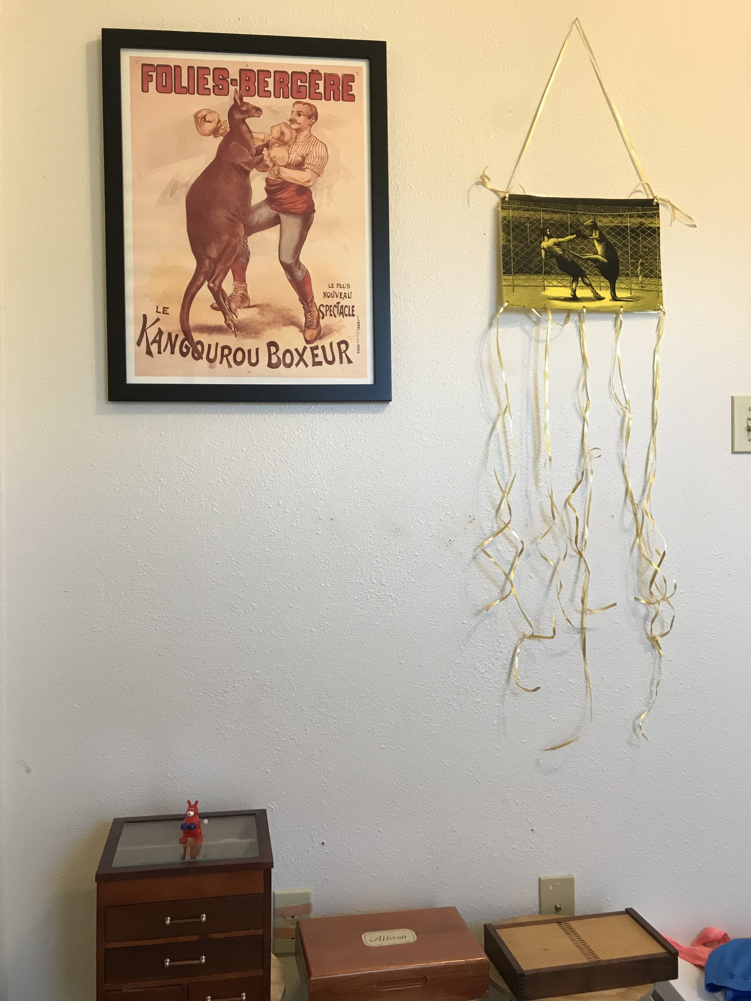 Besides collecting cephalopods, I have a budding boxing kangaroo collection with 2 pictures and a wind-up toy.