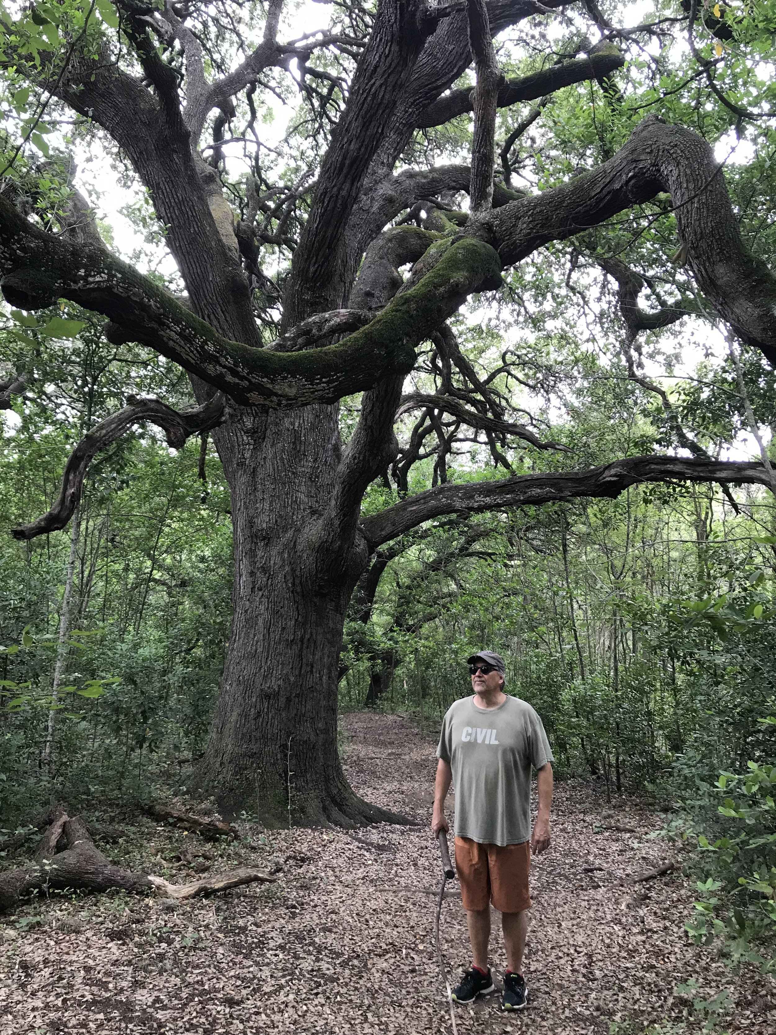 We took a hike in a neat park very near us
