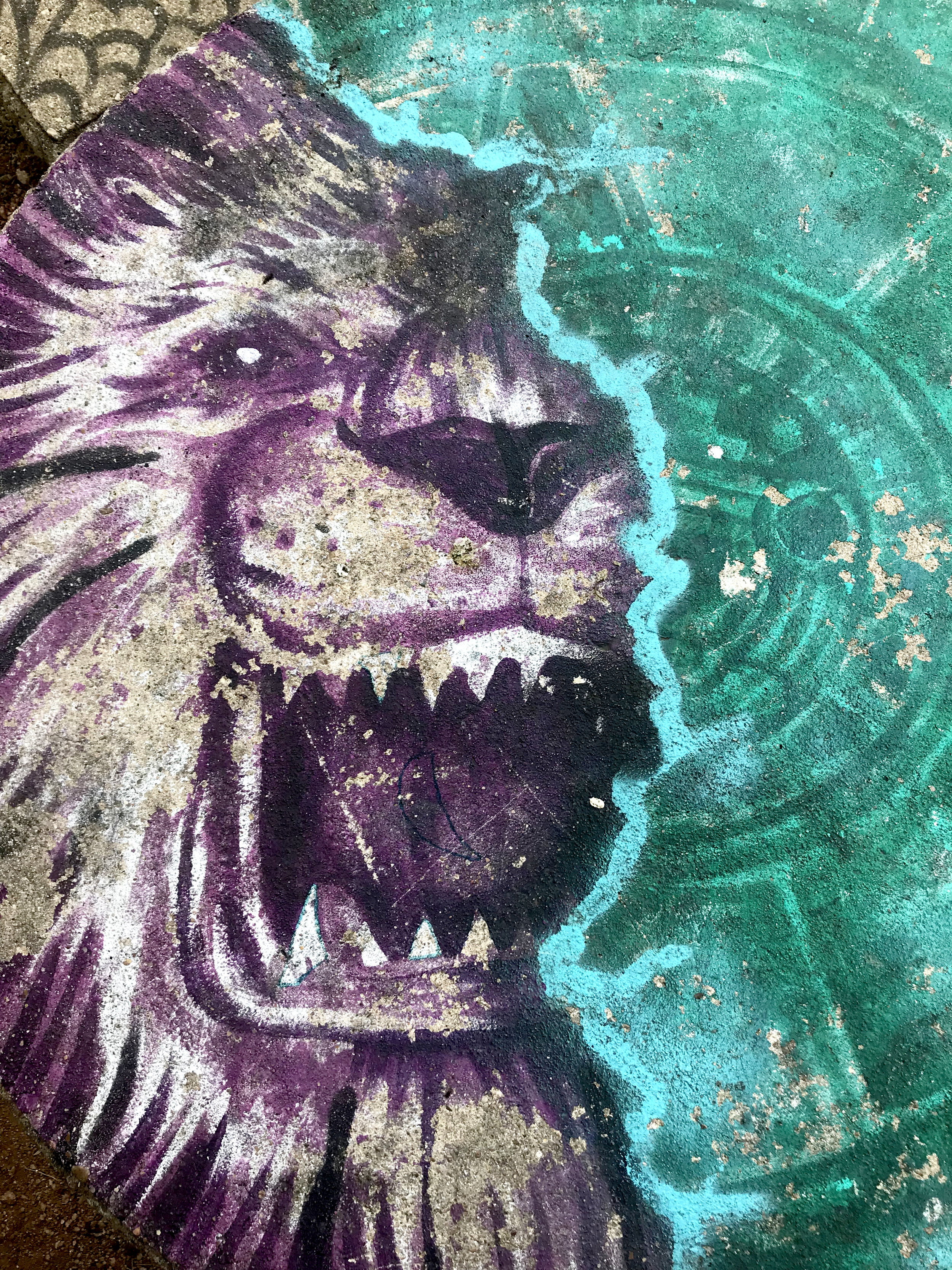 lion.jpg