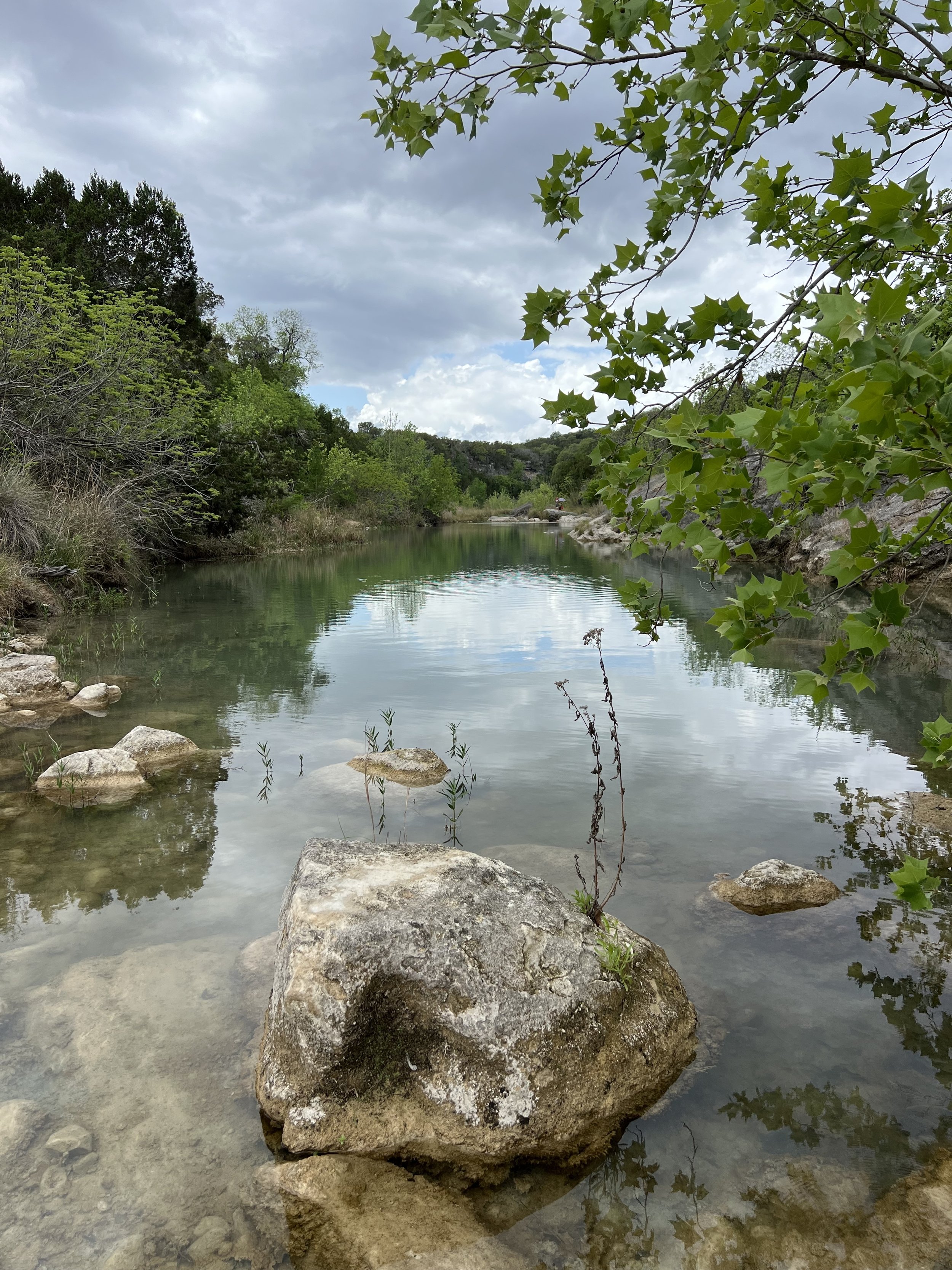 at ranch.jpg