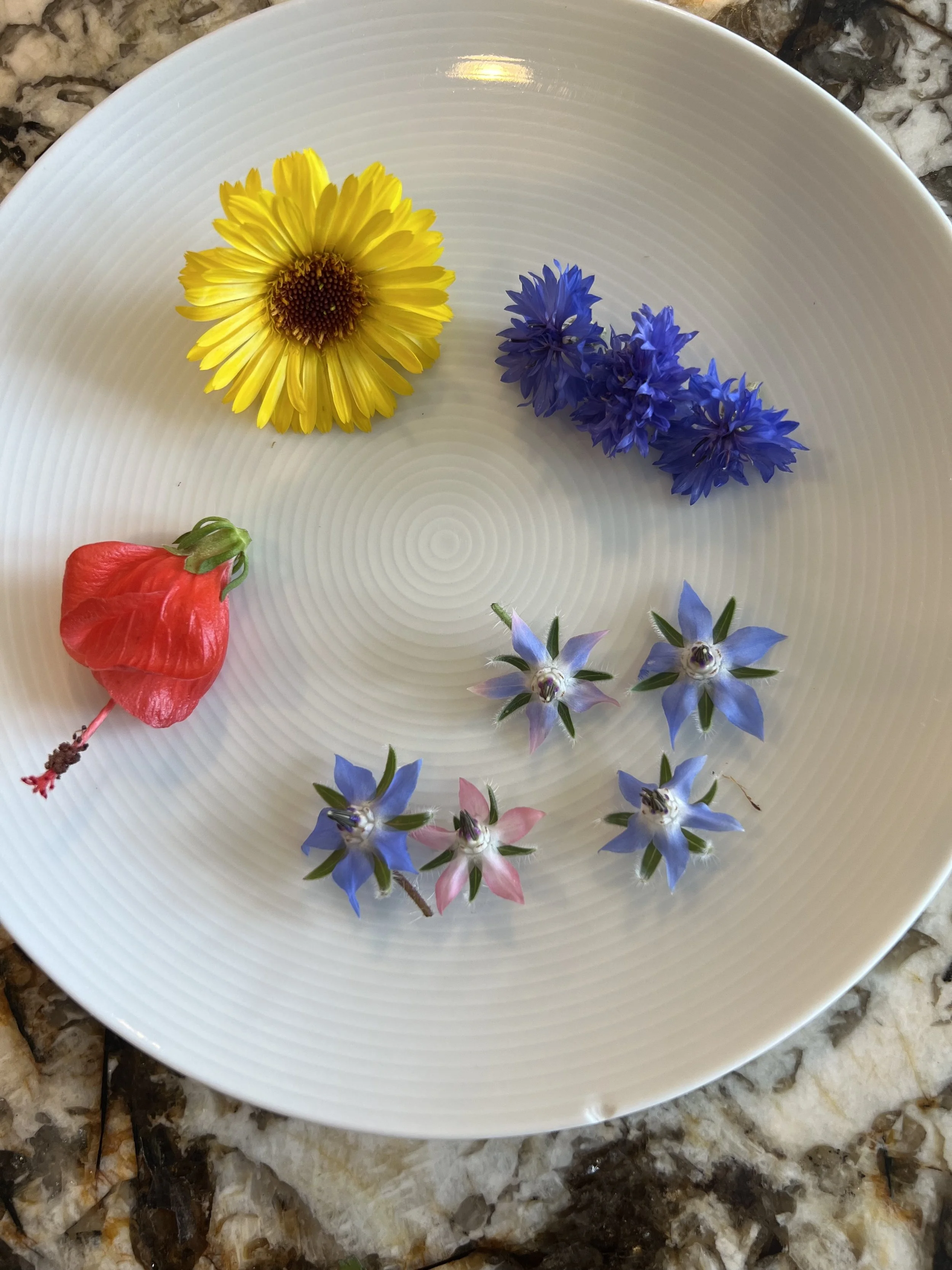 edible flowers.jpg