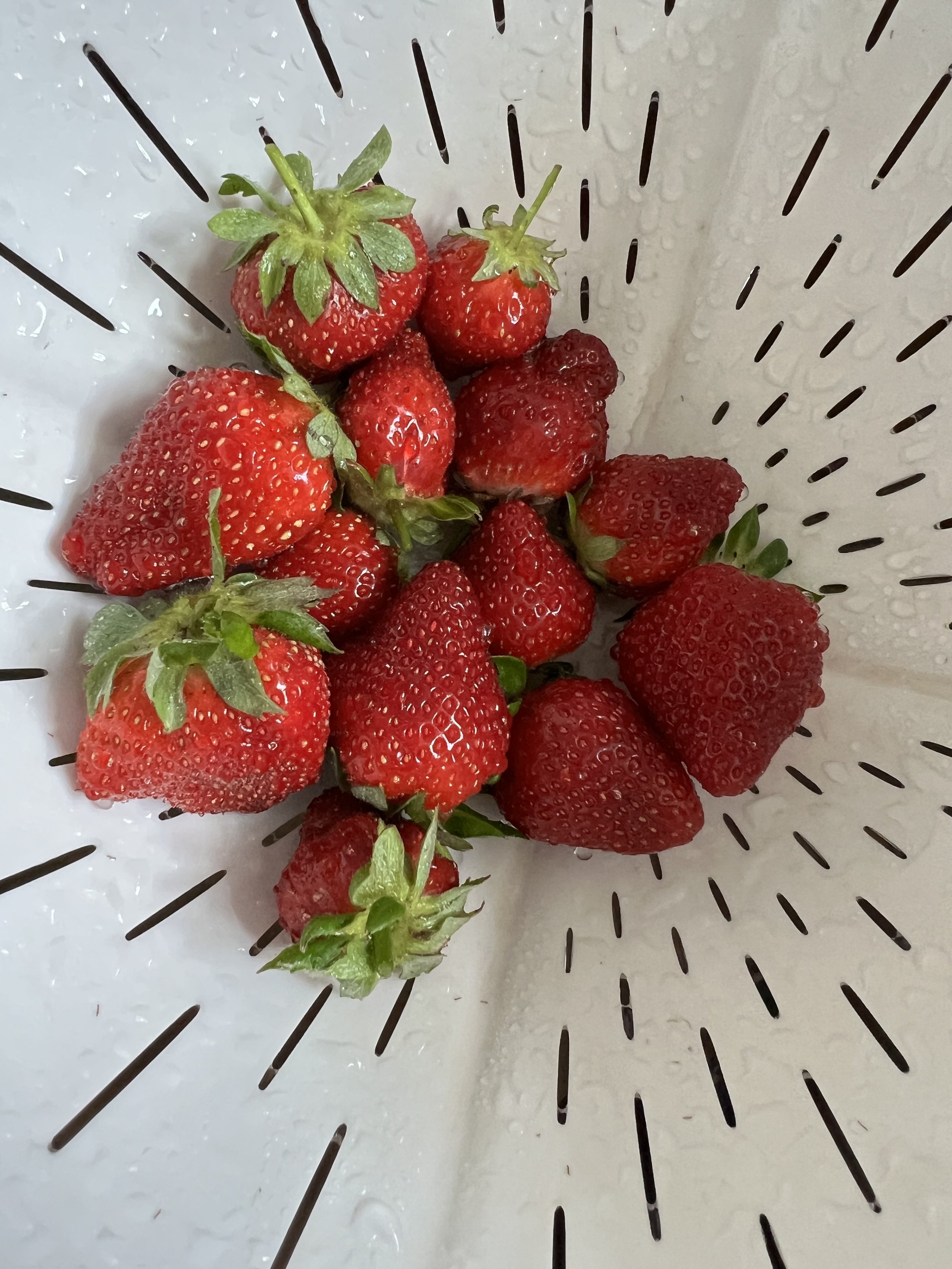 strawberries.jpg