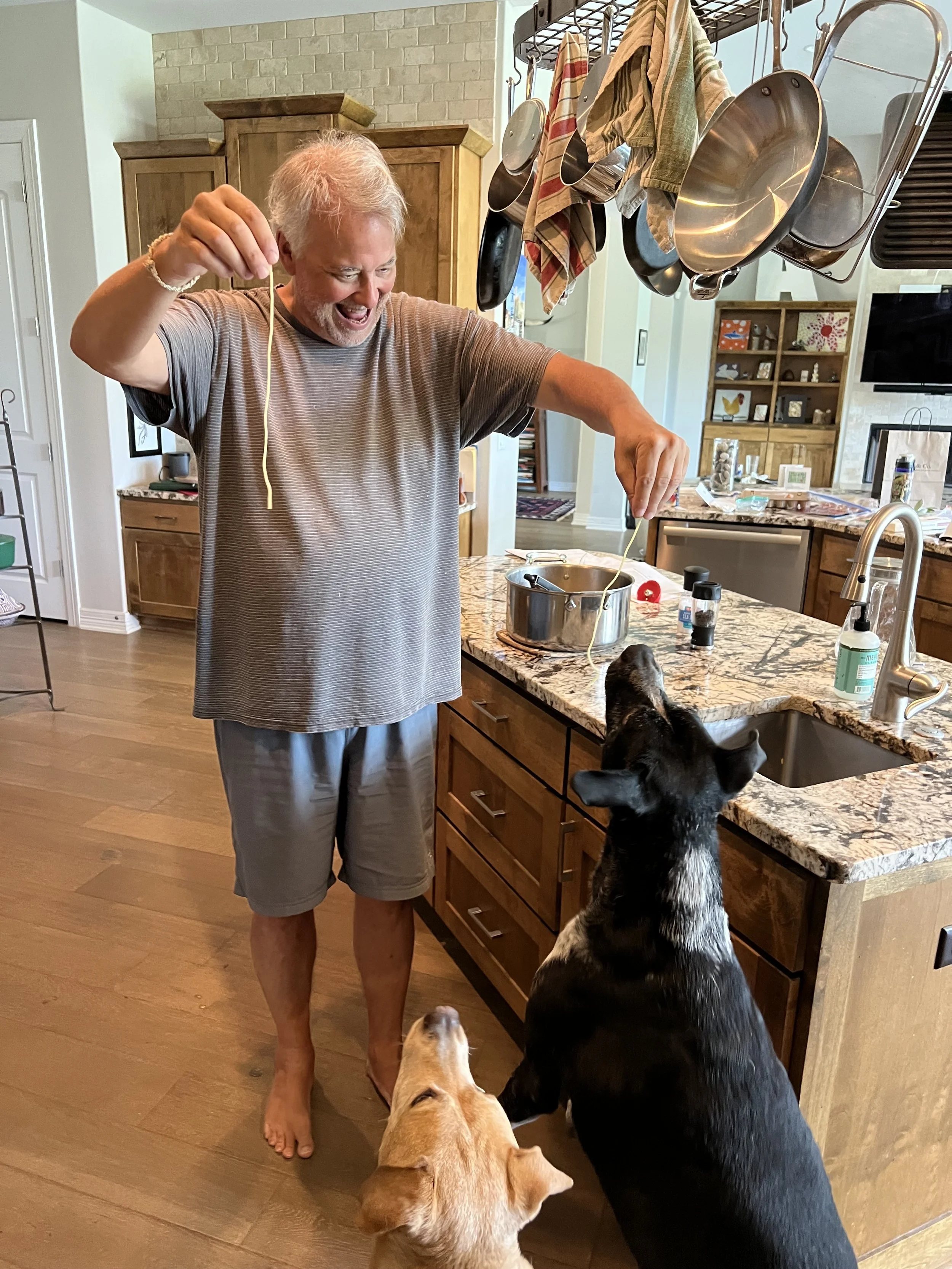 fun with dogs.jpg