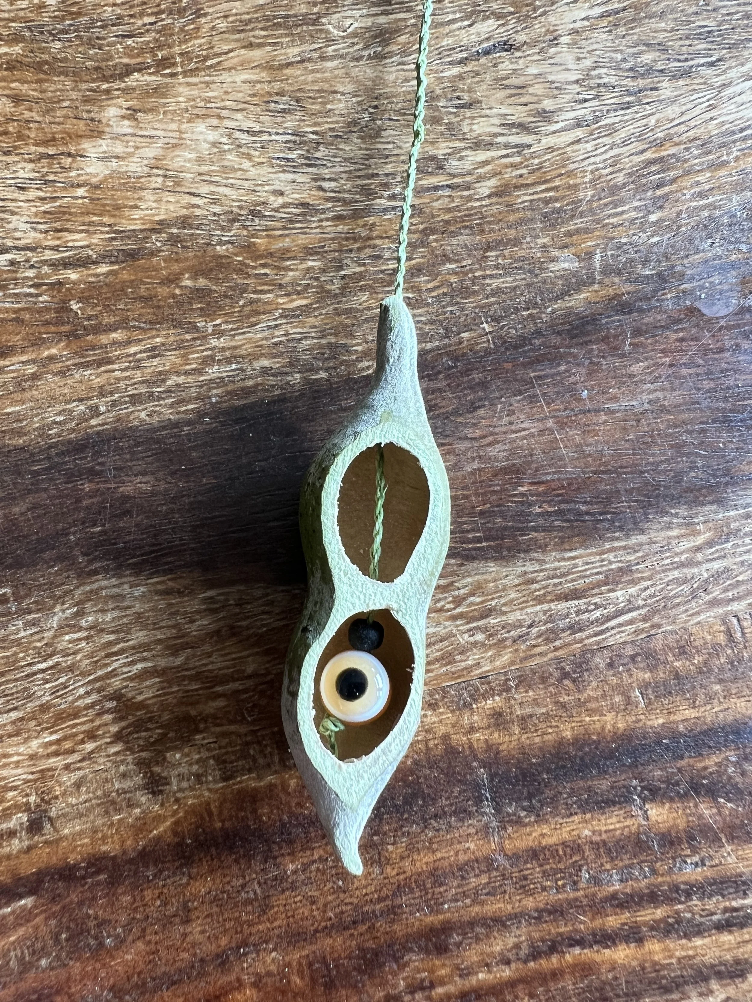  I learned to sand down one side of the pod and then extract the seeds. It’s like the game of Operation. 