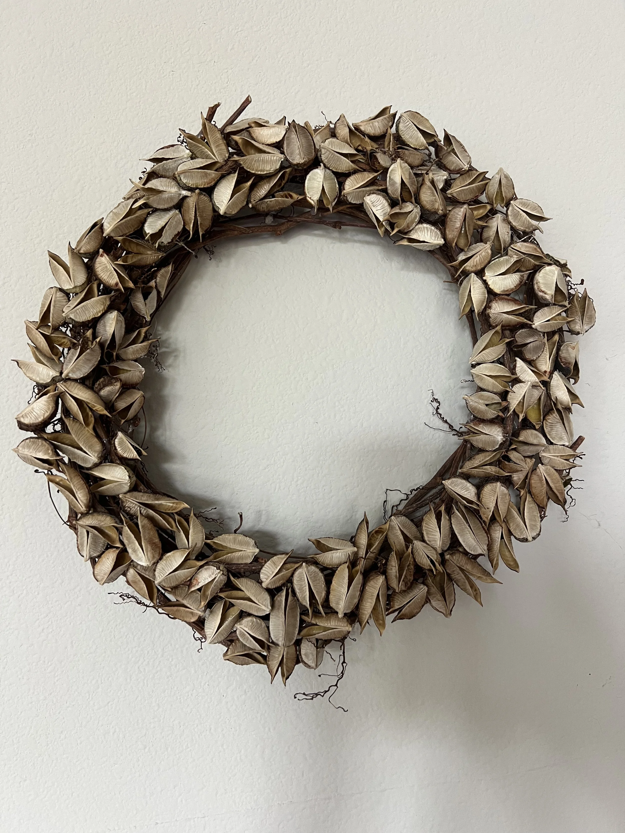This is a wreath I made from Virginia Creeper vine and pods from red yucca