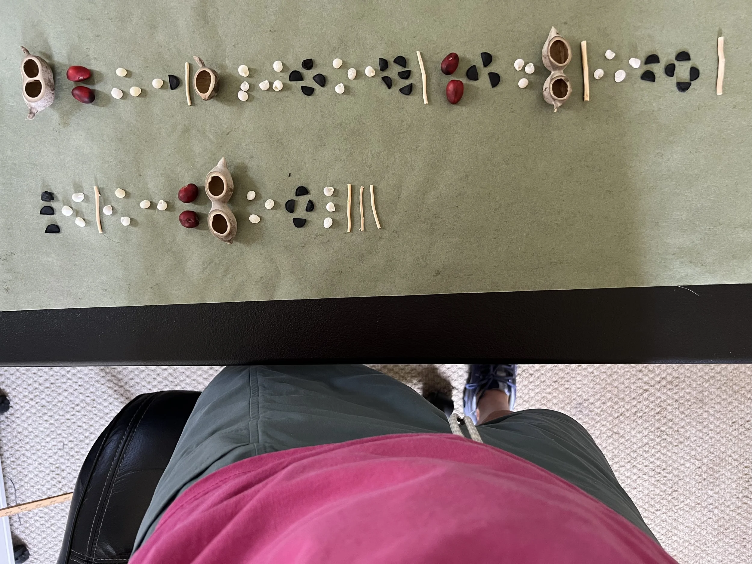 this is a code written with seeds and snail shells