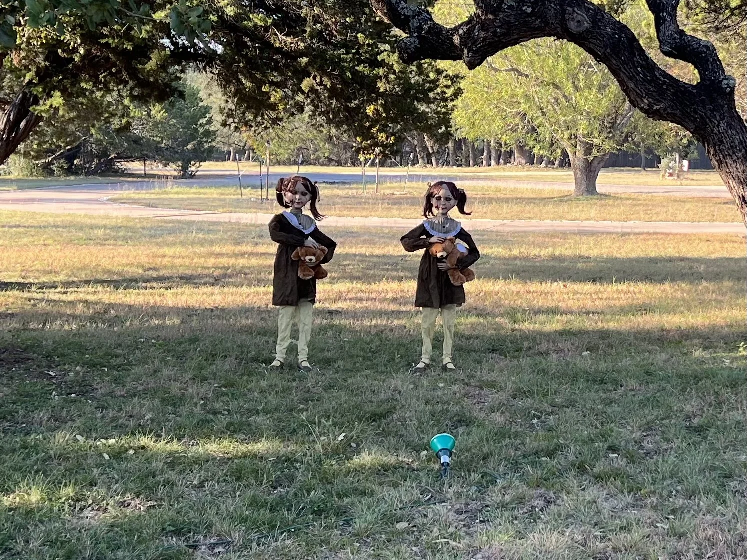 Someone's Spooky Yard for Halloween