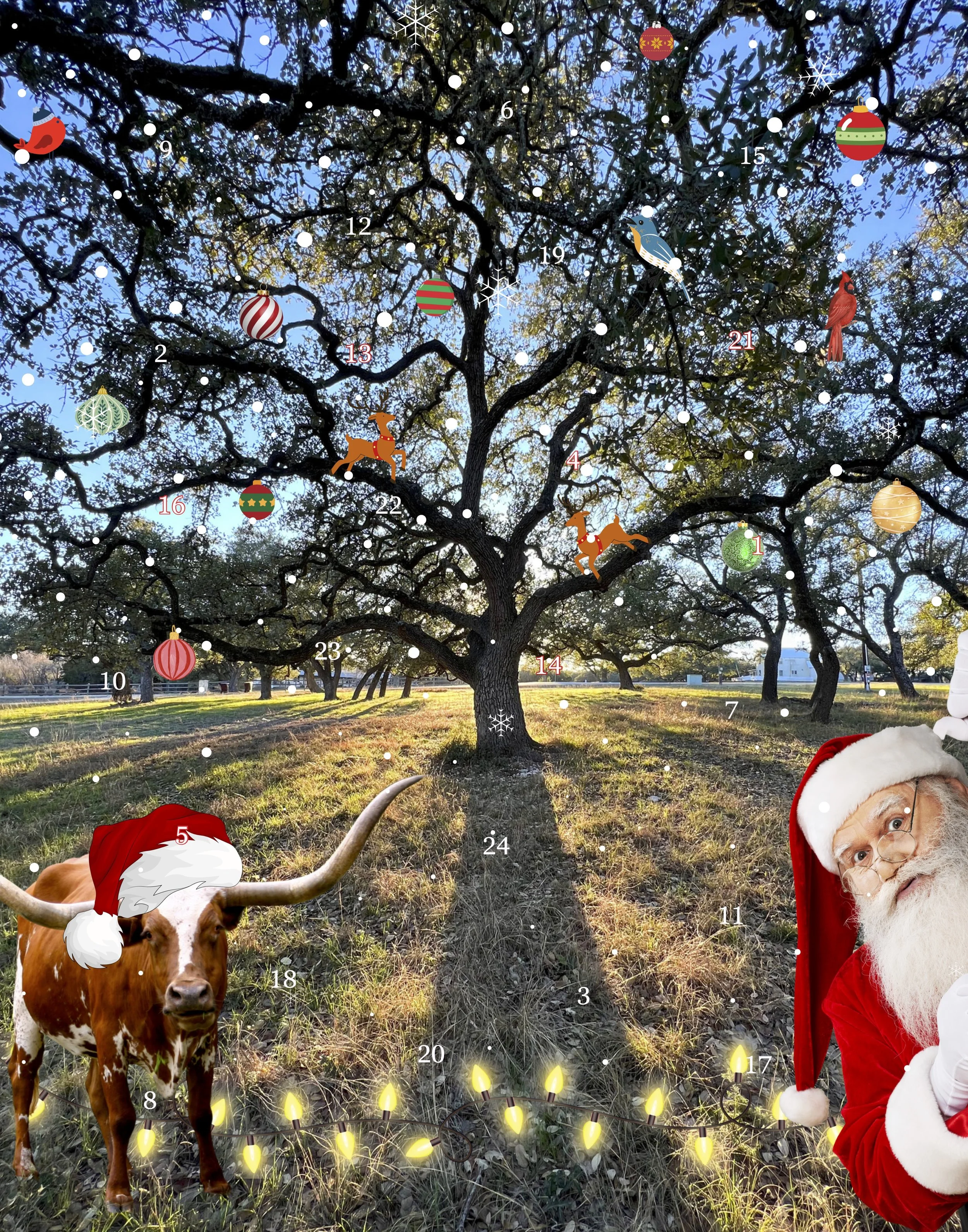 buckner advent calendar.jpg