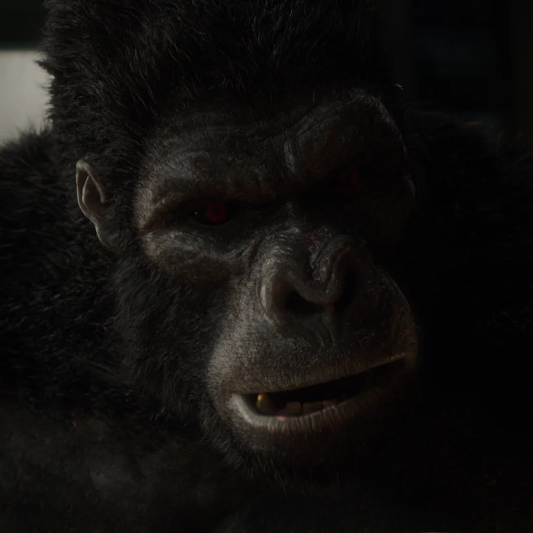 flashThumbnail.jpg