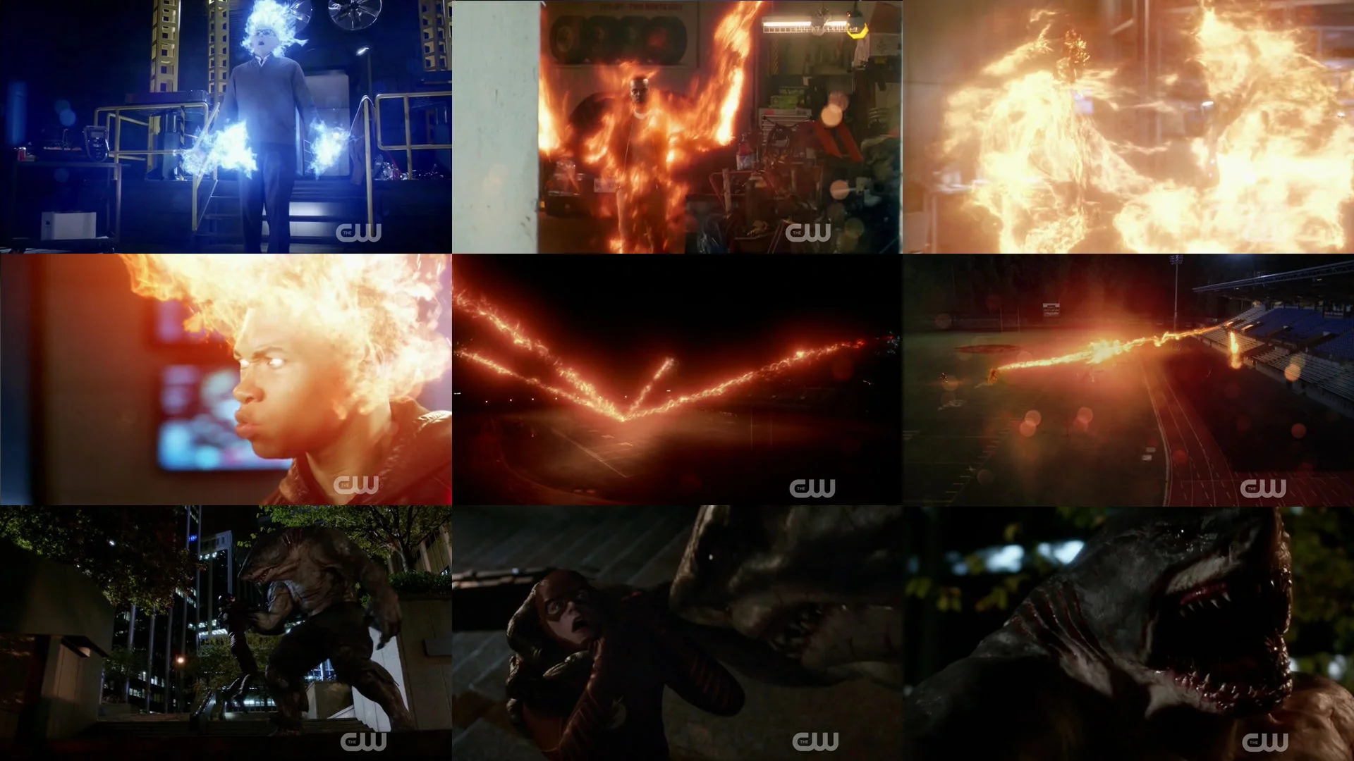 flas204_Montage_small.jpg