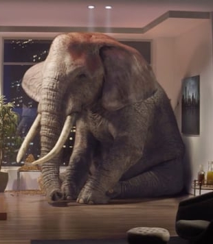 GEICO "Elephant in the room"