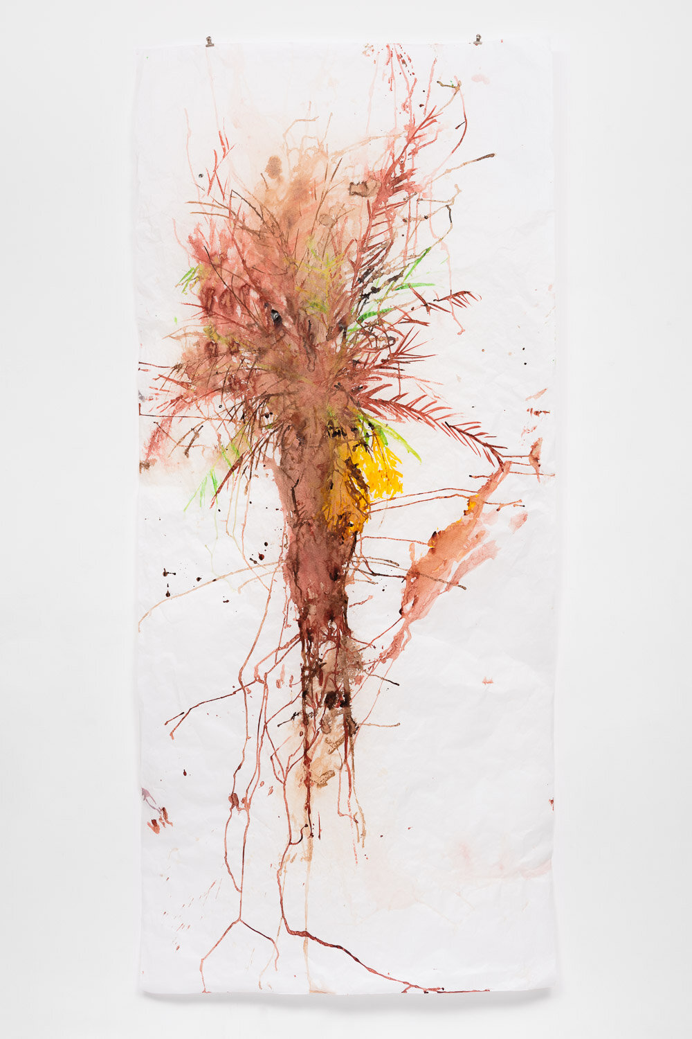 Palma, 220 x 100 cm, aguada de nanquim e café, 2019, low.jpg