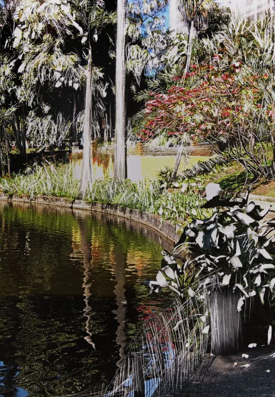 2019_Parque_Parte 4.jpg