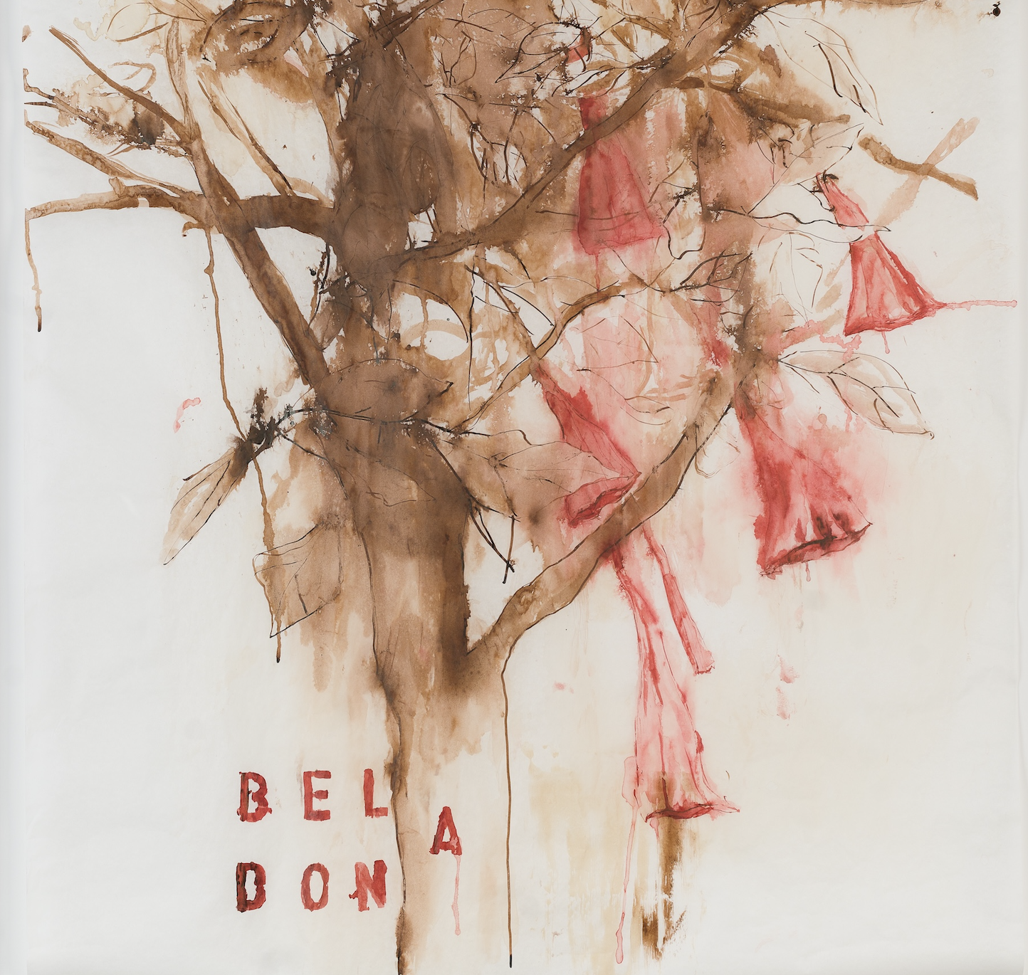 Captura de Tela 2024-12-03 às 08.46.51.png