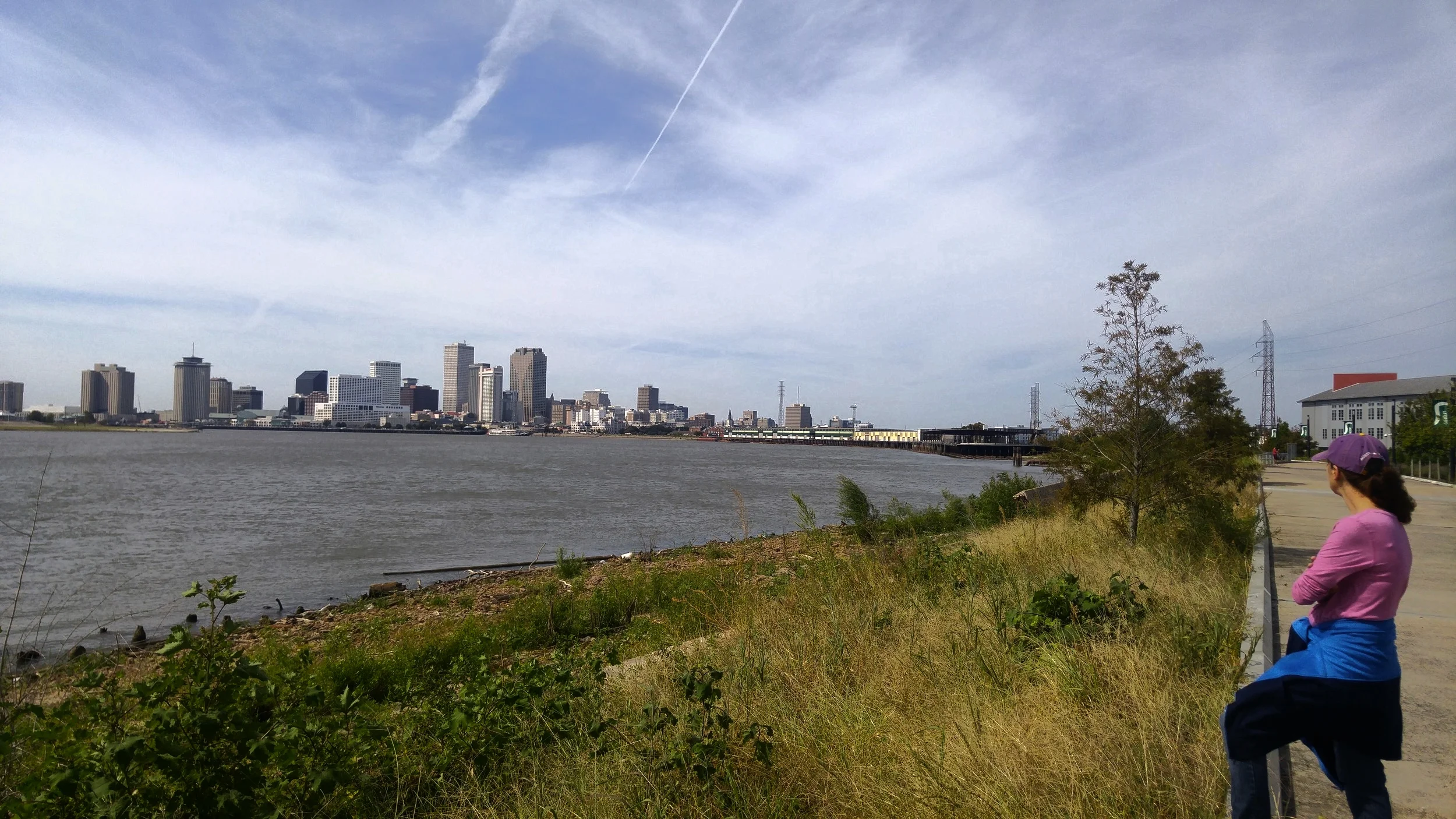 New Orleans Skyline from Crescent Park