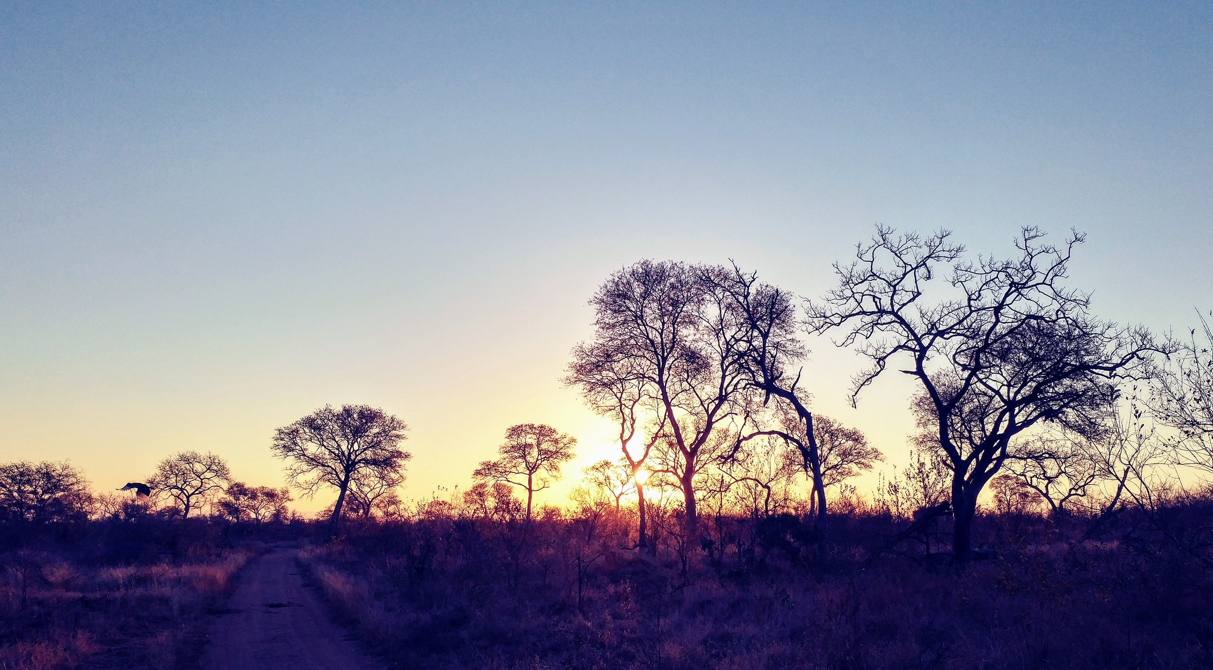 Sunrise, South Africa