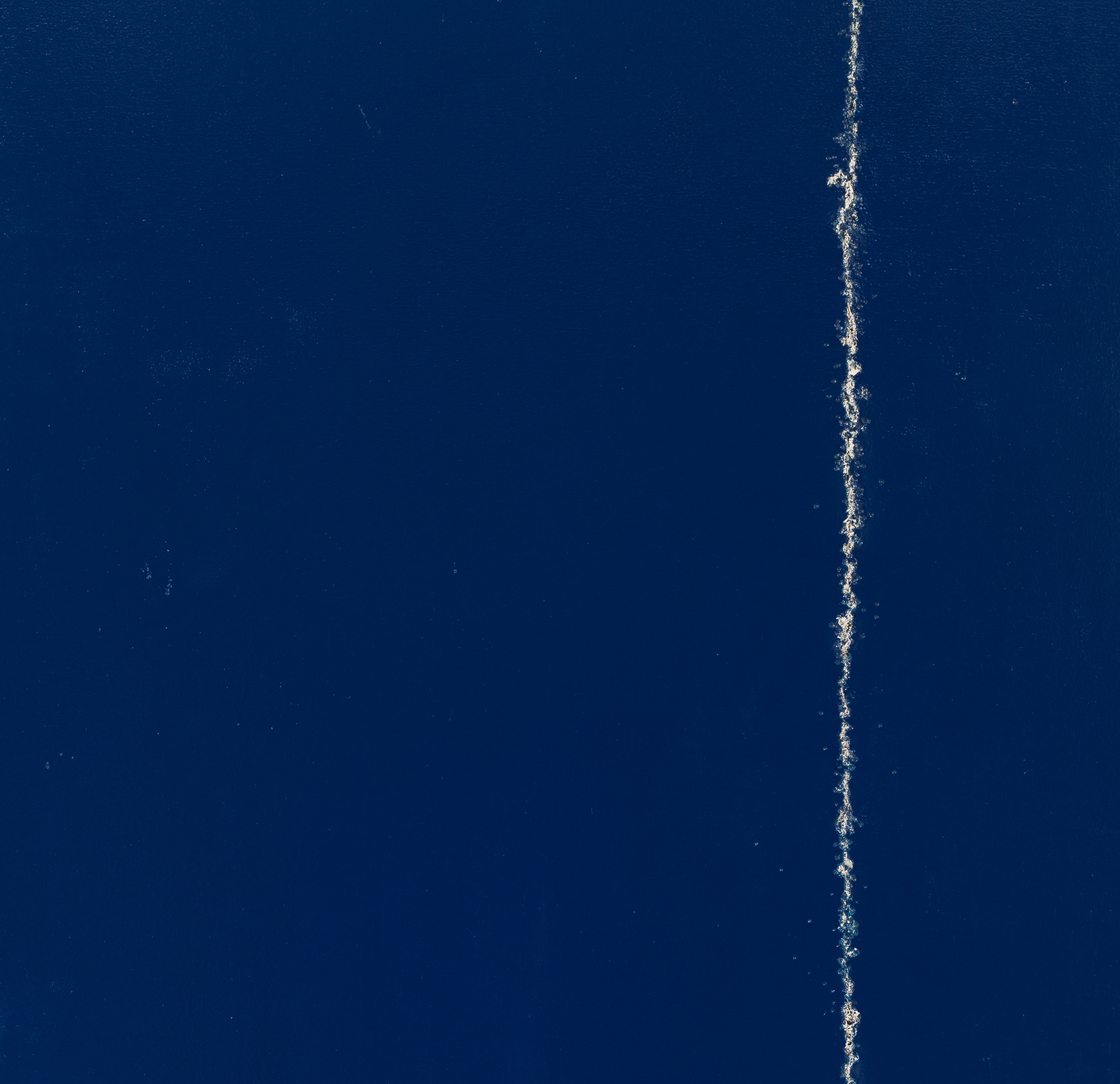 Bluetearbackground.jpg